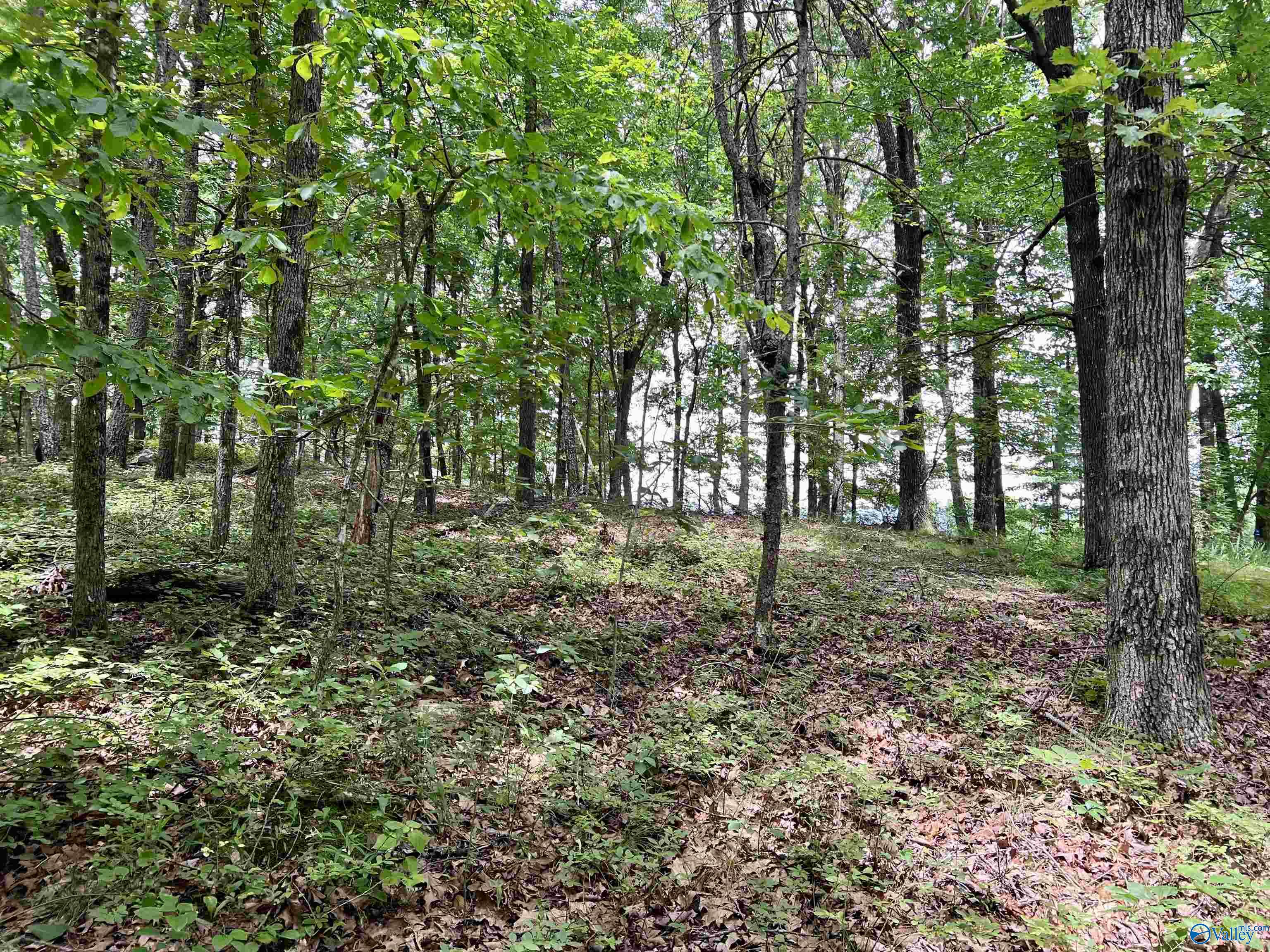 3 ACRES County Road 66