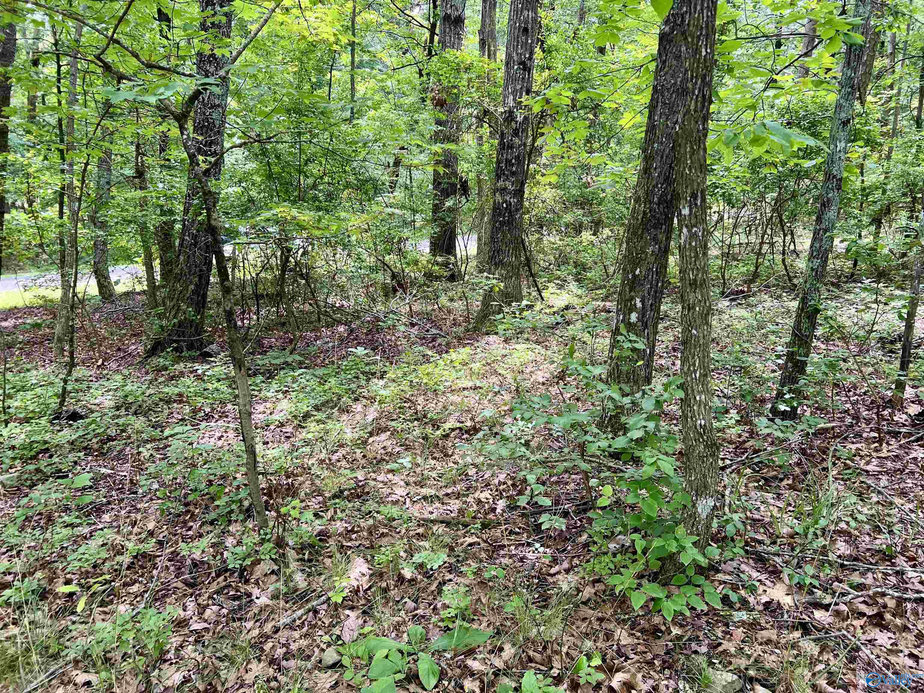 3 ACRES County Road 66