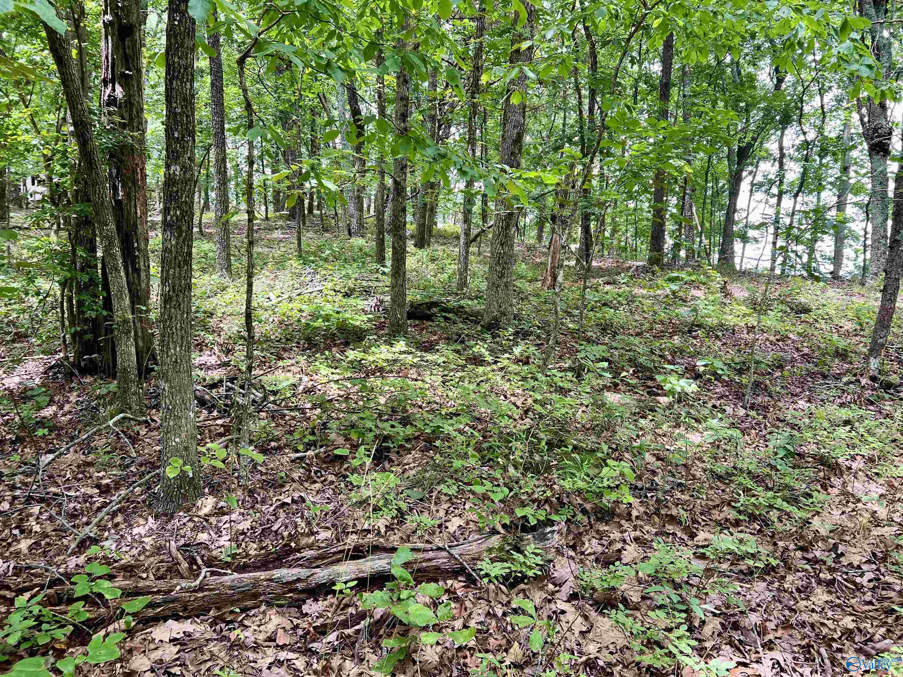 3 ACRES County Road 66