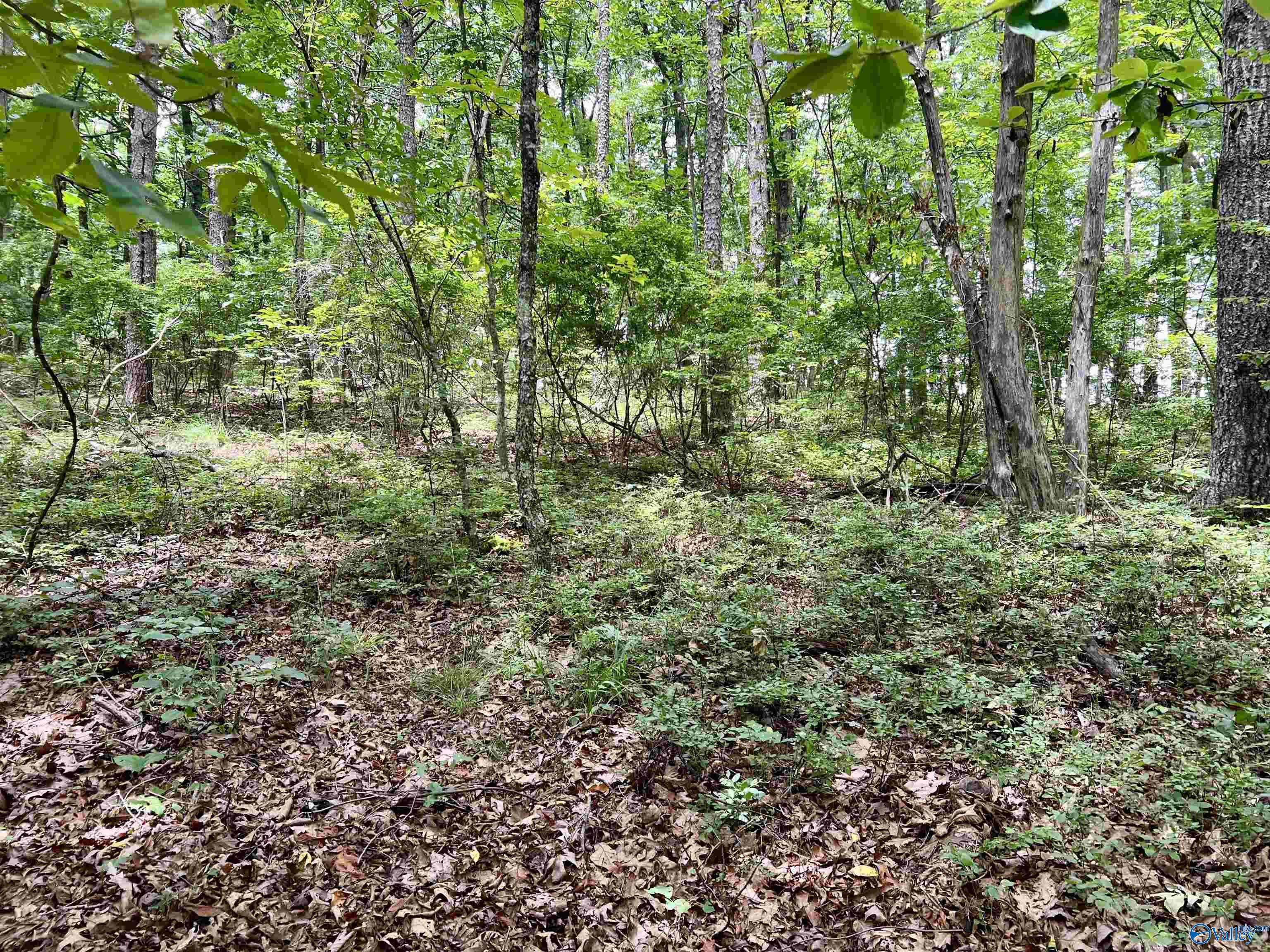 3 ACRES County Road 66