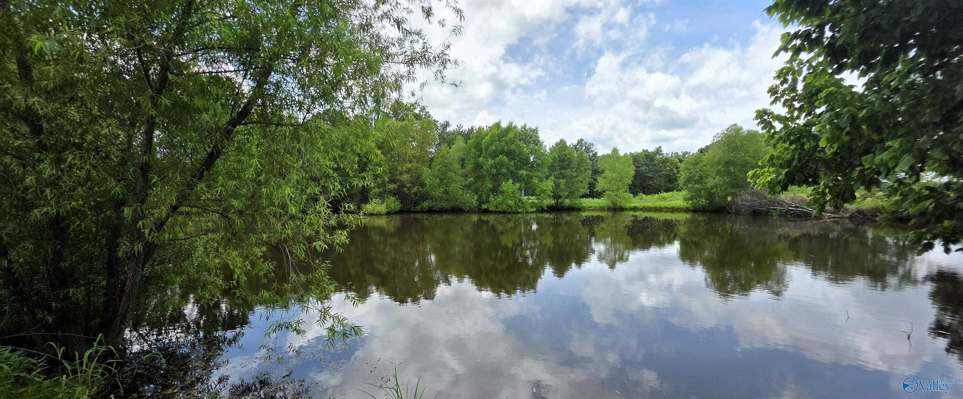 354 County Road 162