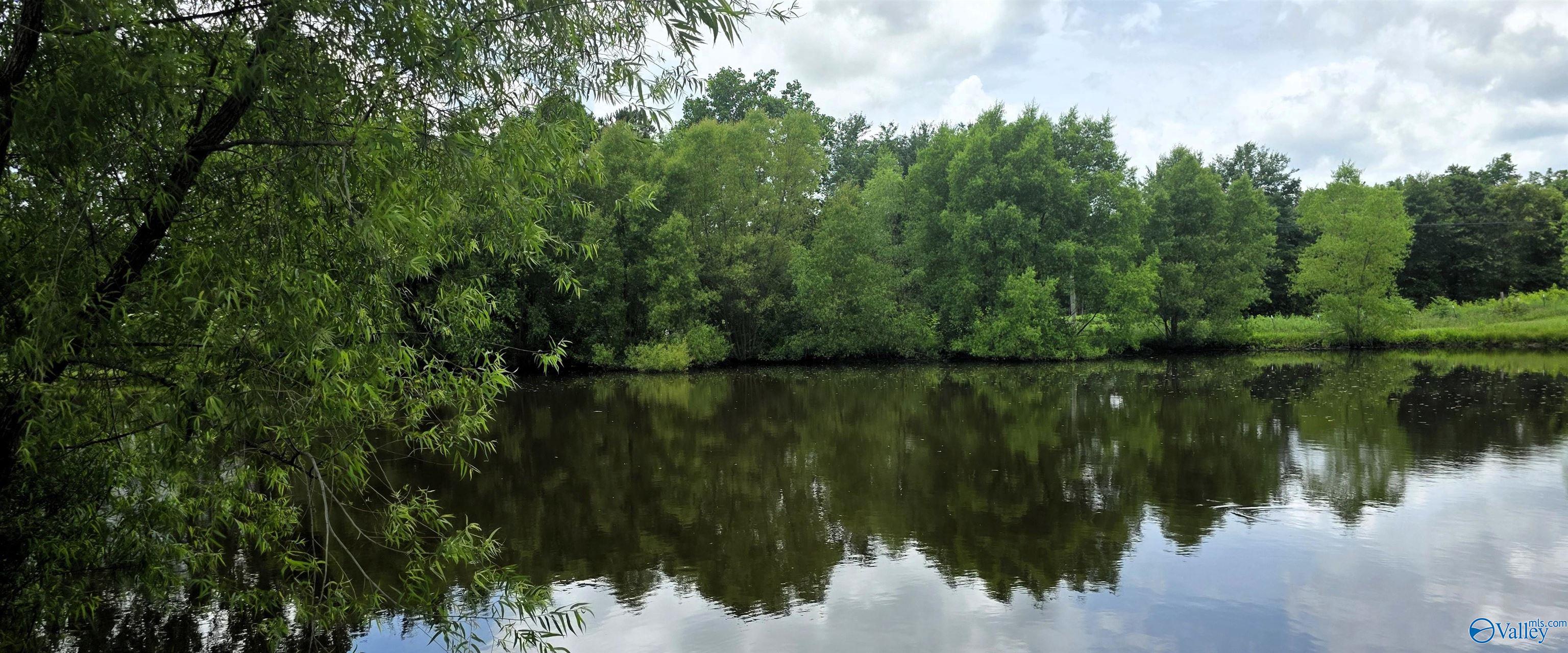 354 County Road 162