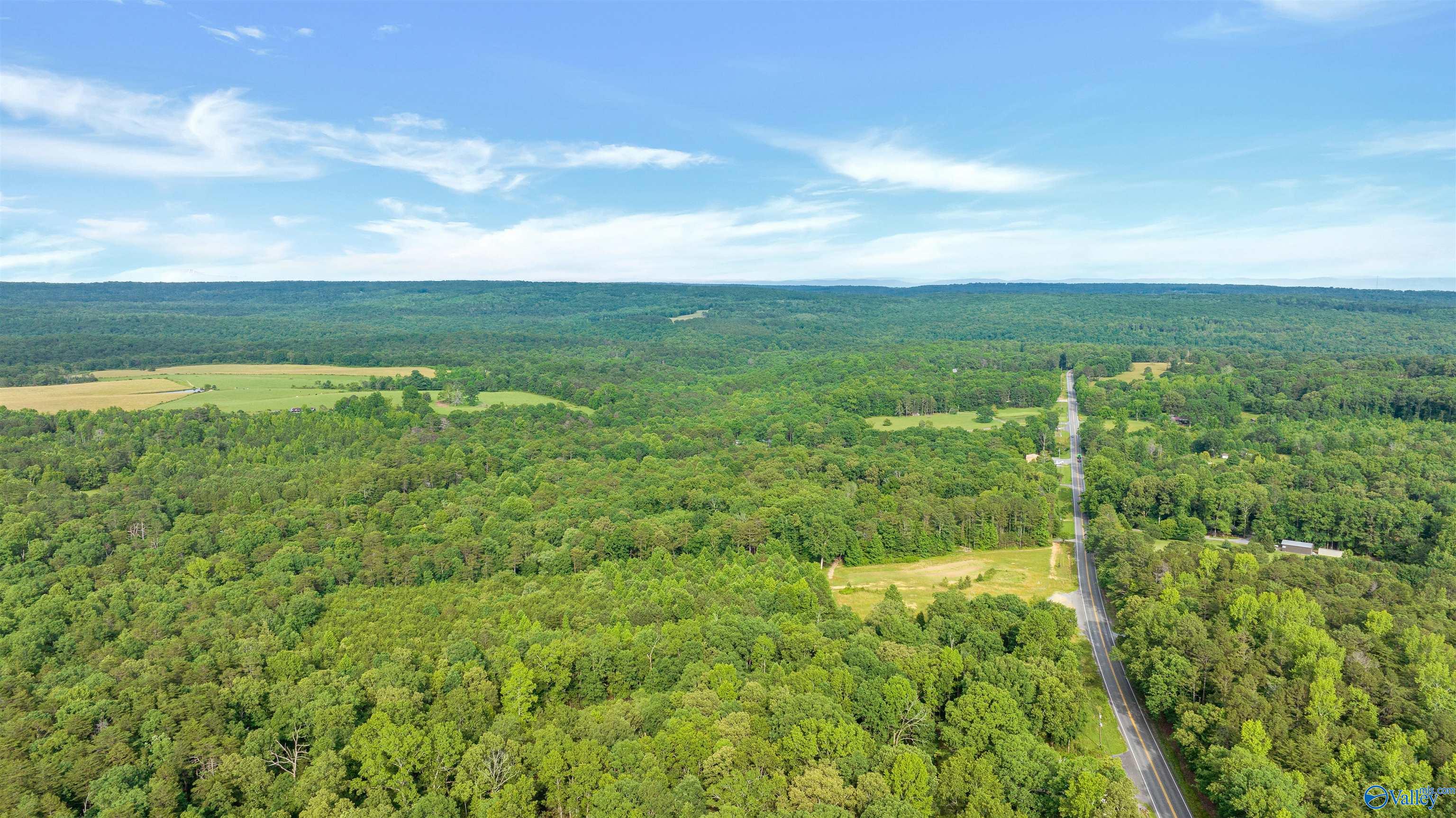 2546 Hwy 117