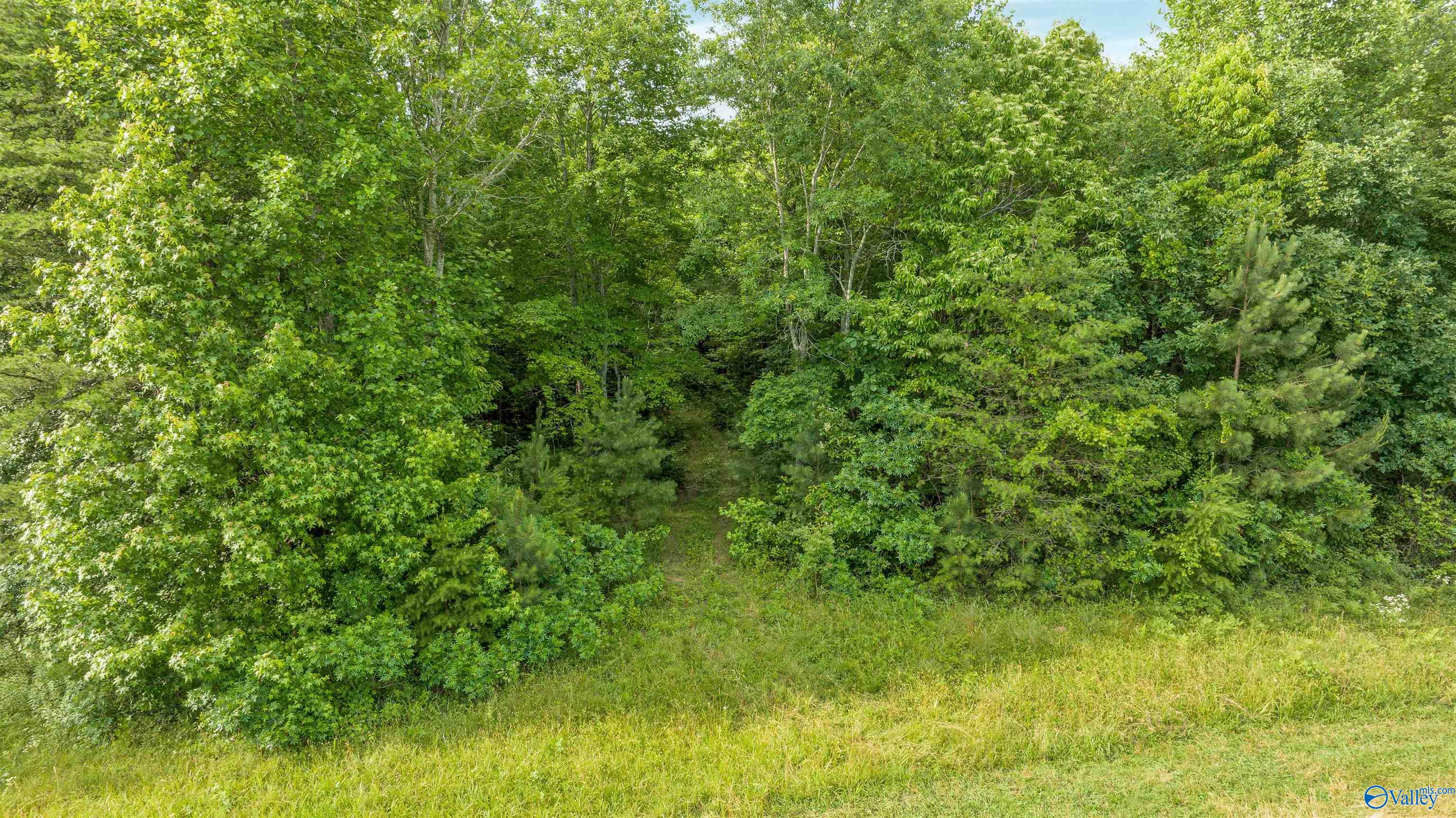 2546 Hwy 117