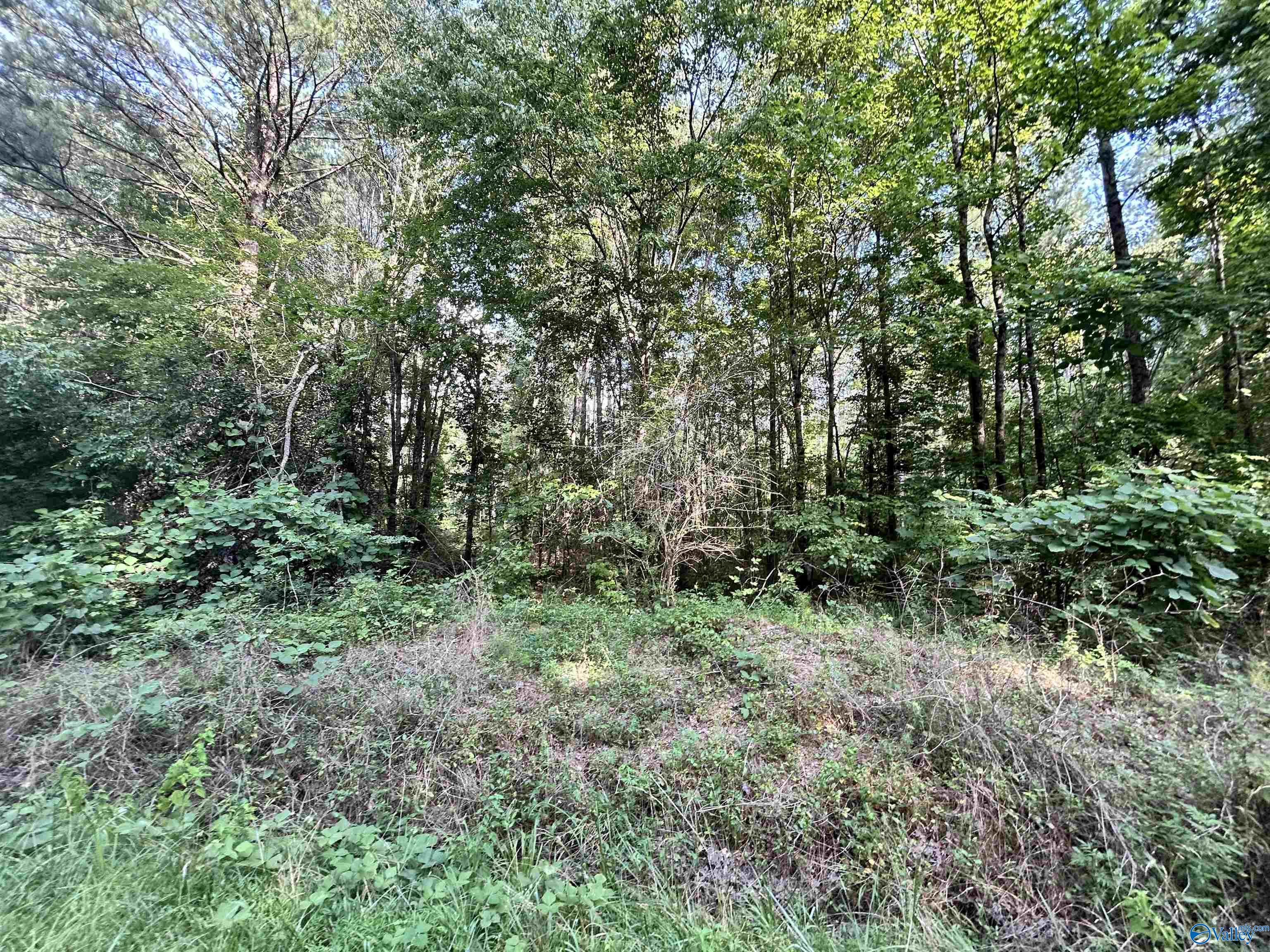 11.83 Acres County Road 82