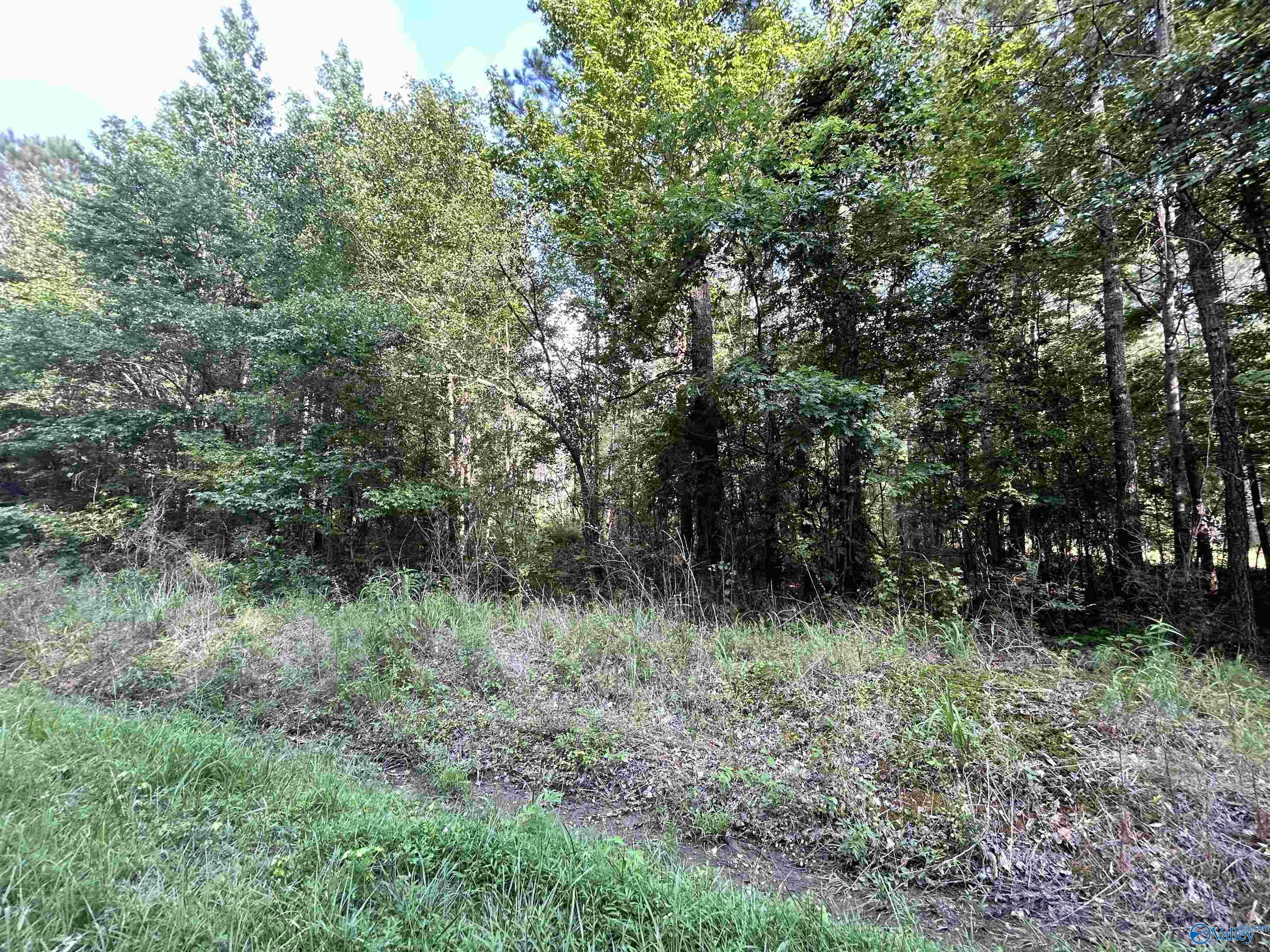 11.83 Acres County Road 82