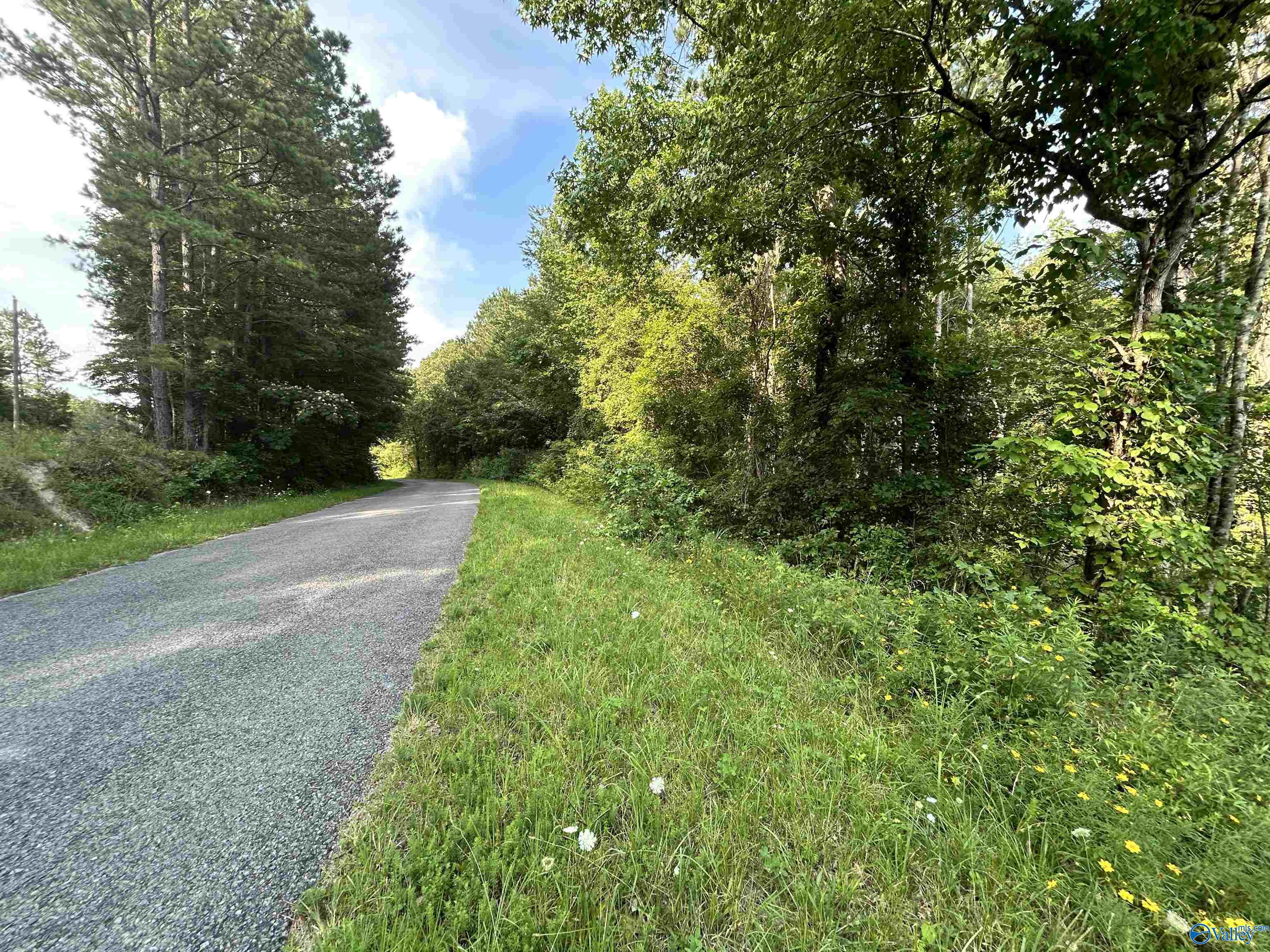 11.83 Acres County Road 82