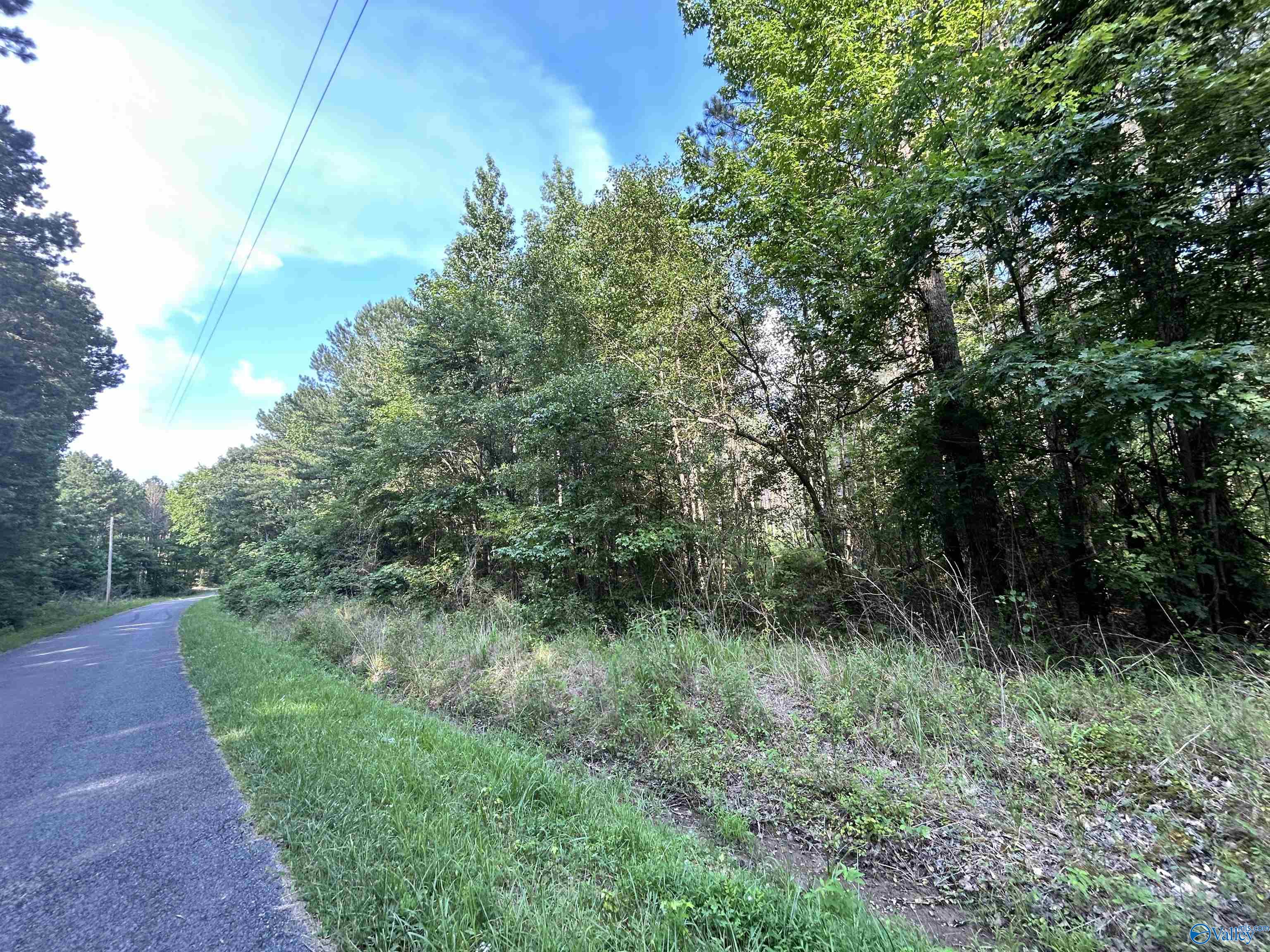 11.83 Acres County Road 82