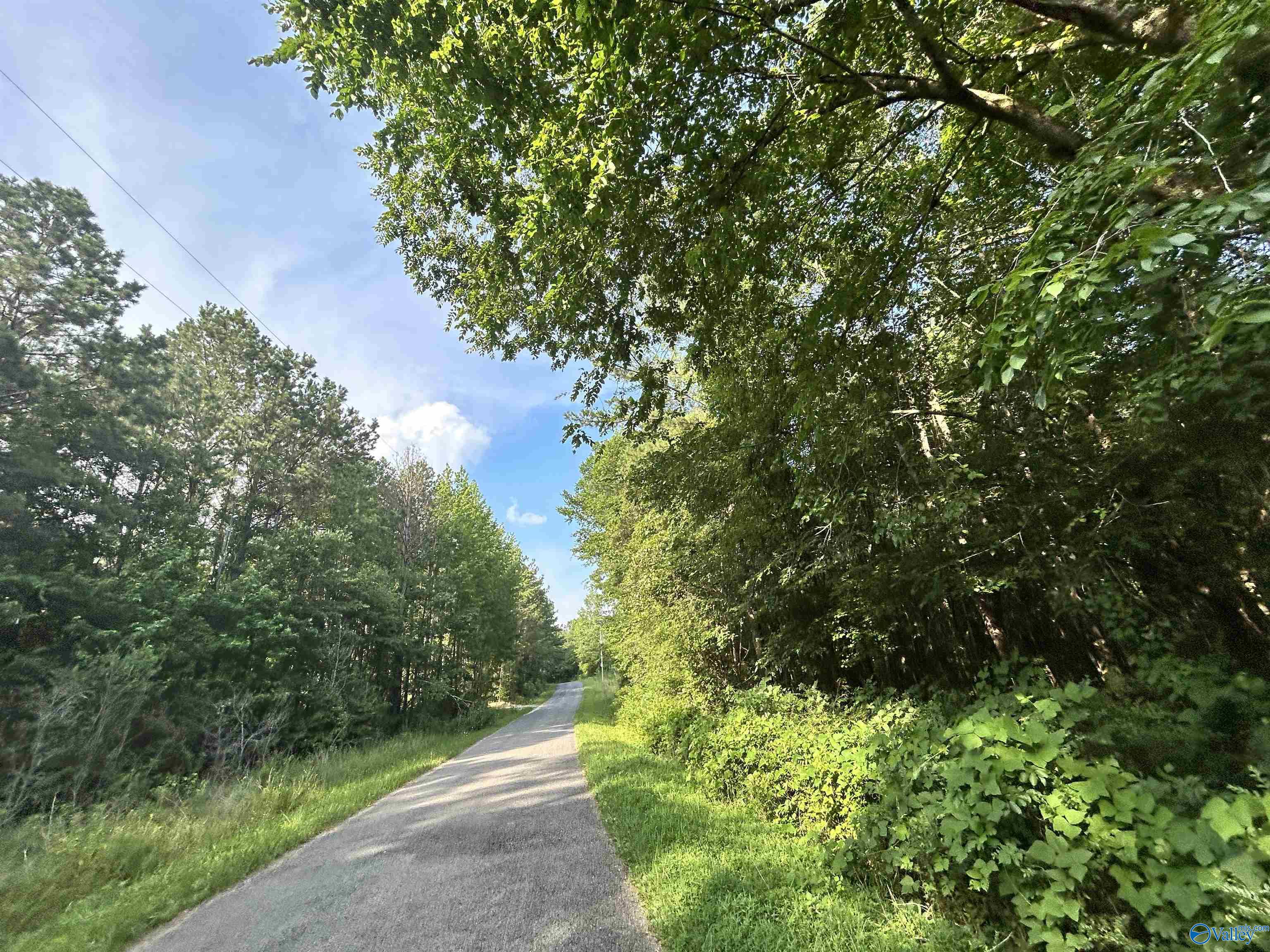 11.83 Acres County Road 82