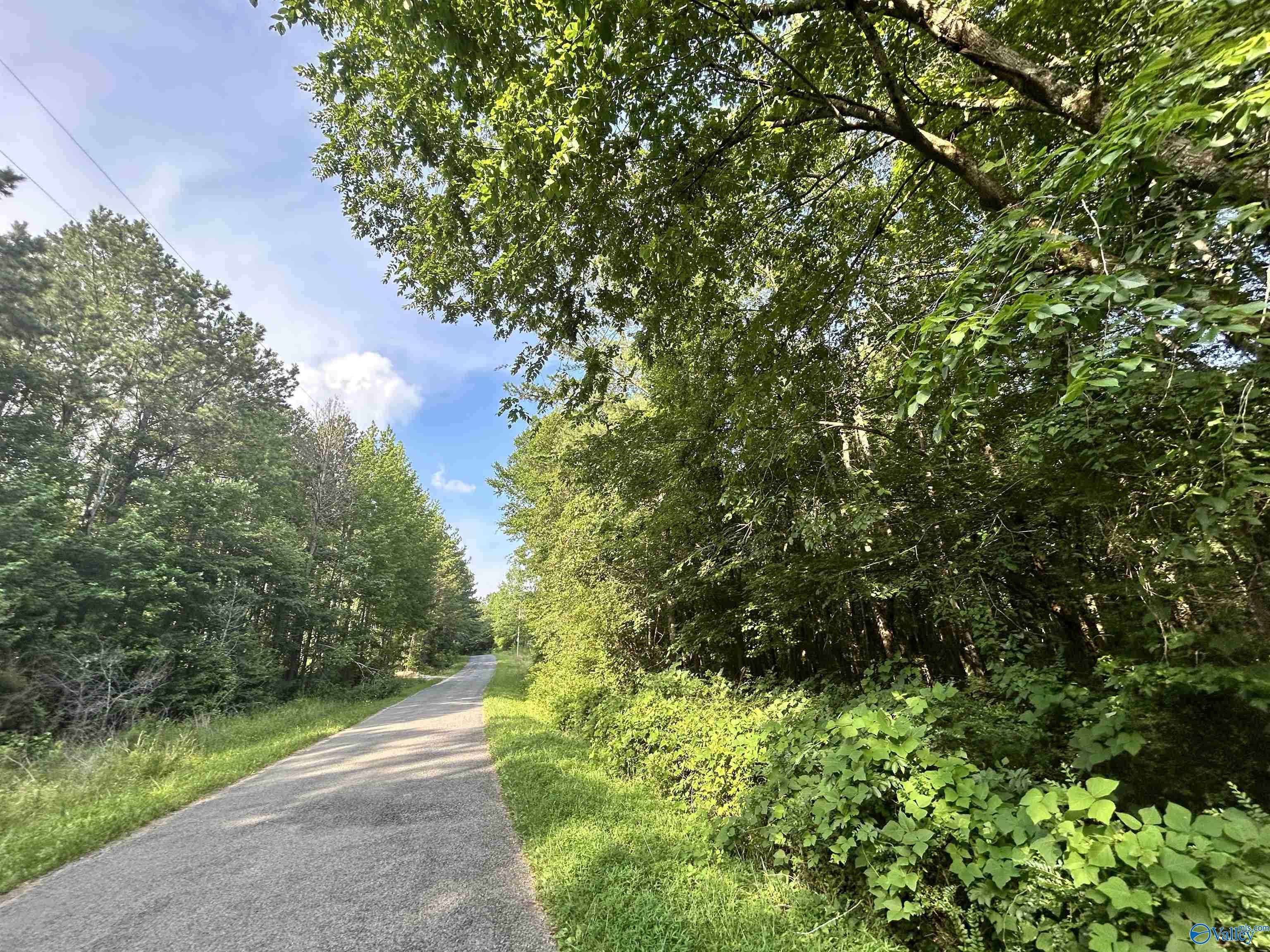 11.83 Acres County Road 82
