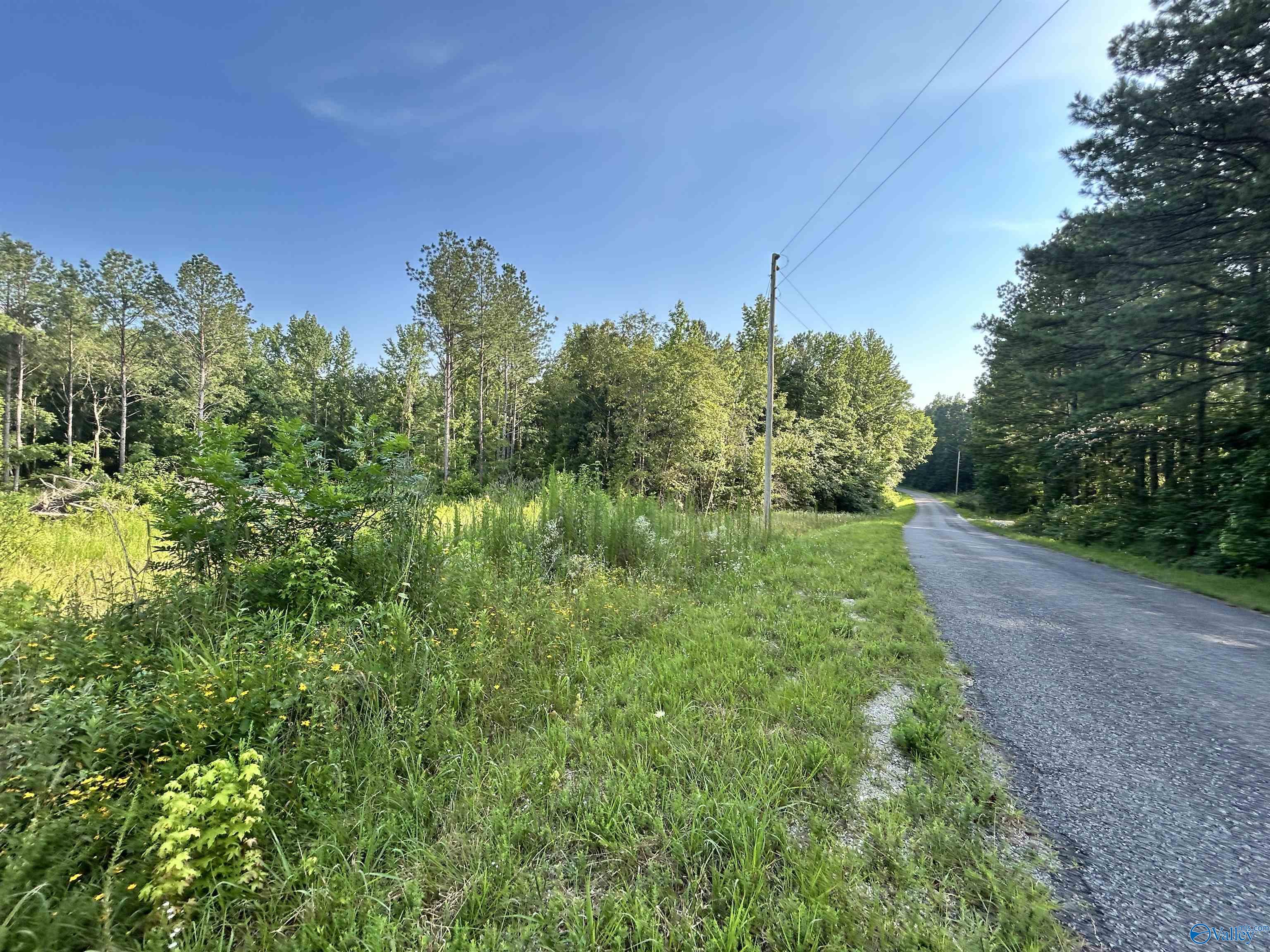 11.83 Acres County Road 82