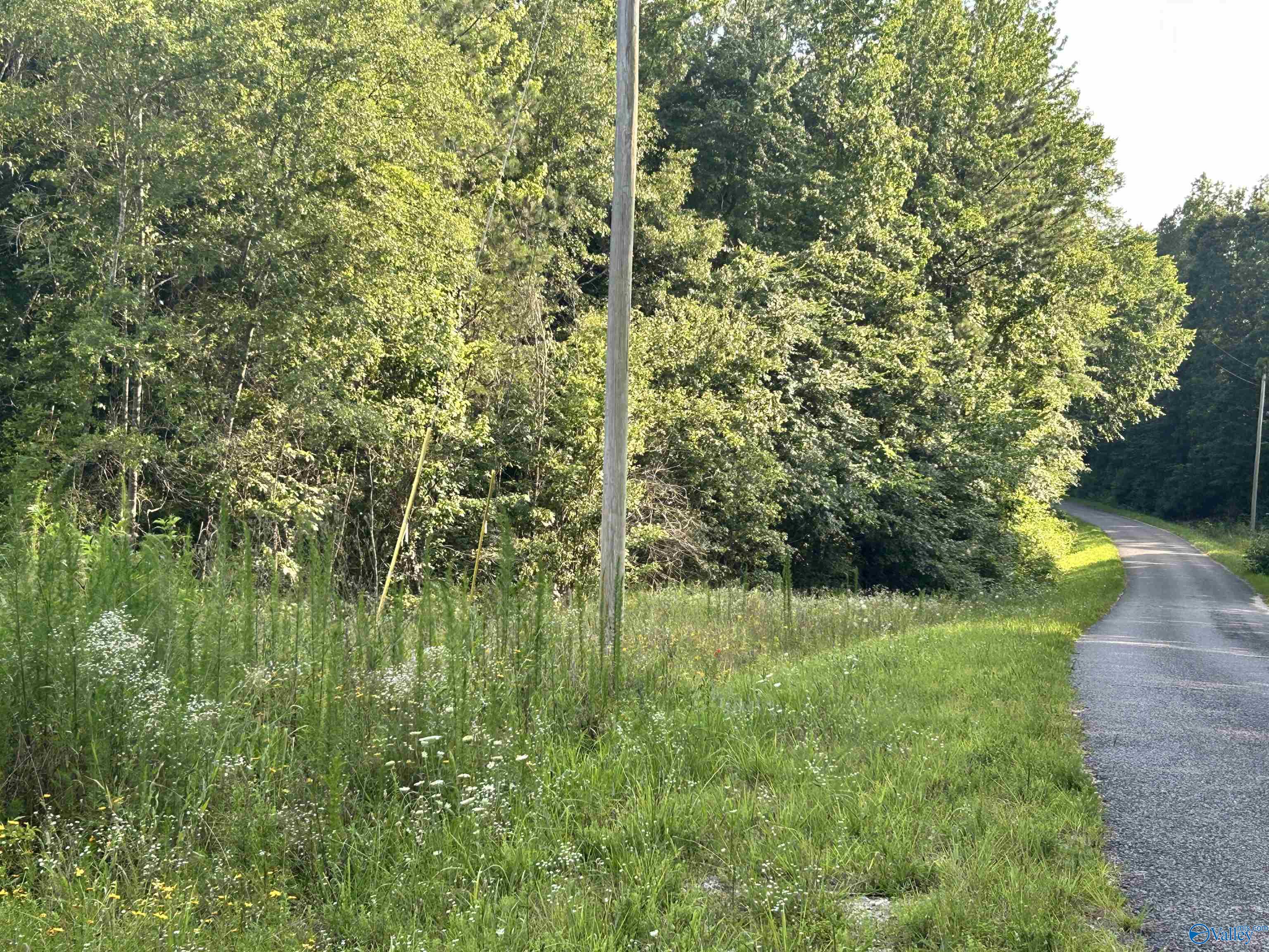 11.83 Acres County Road 82