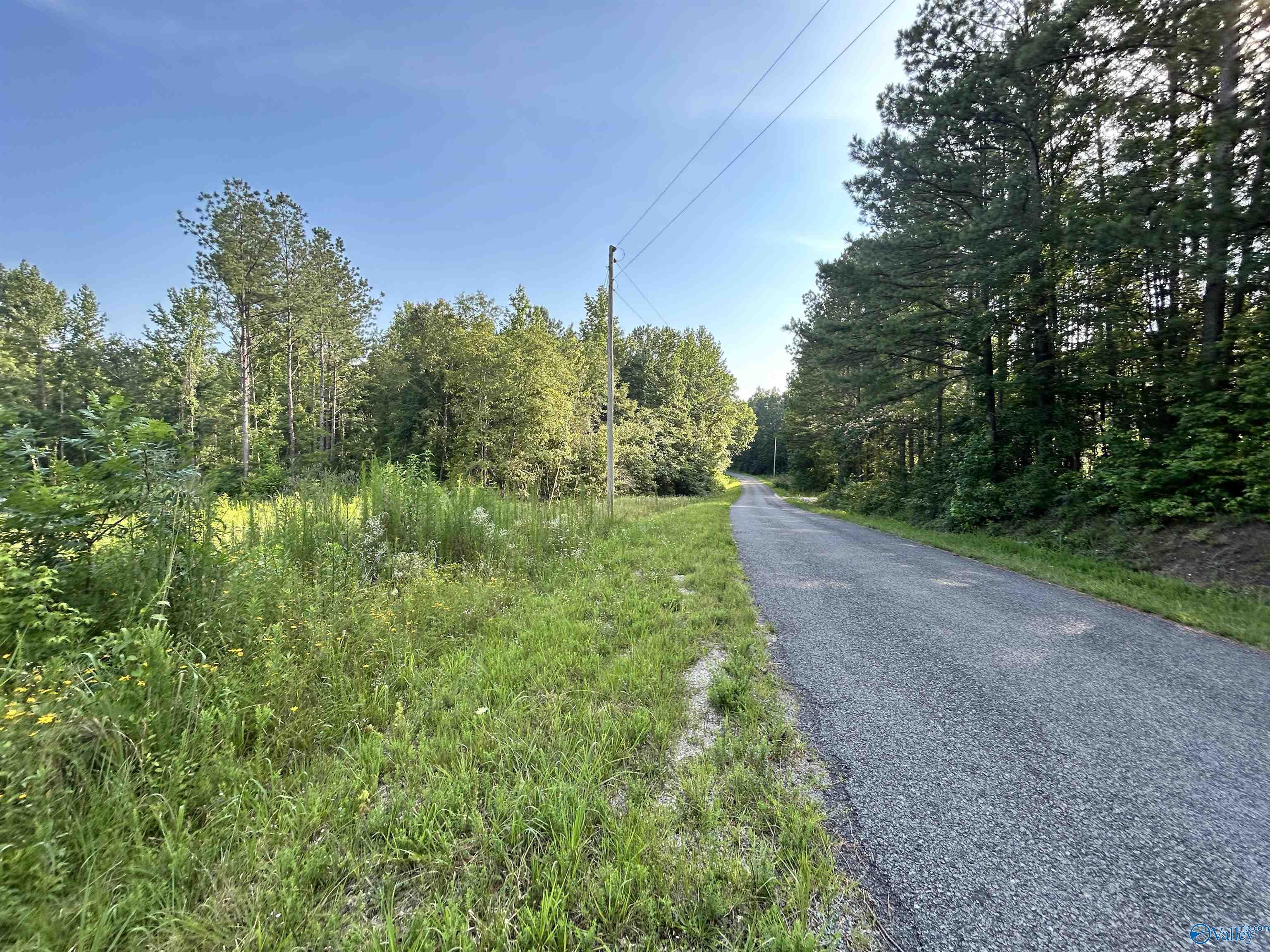 11.83 Acres County Road 82