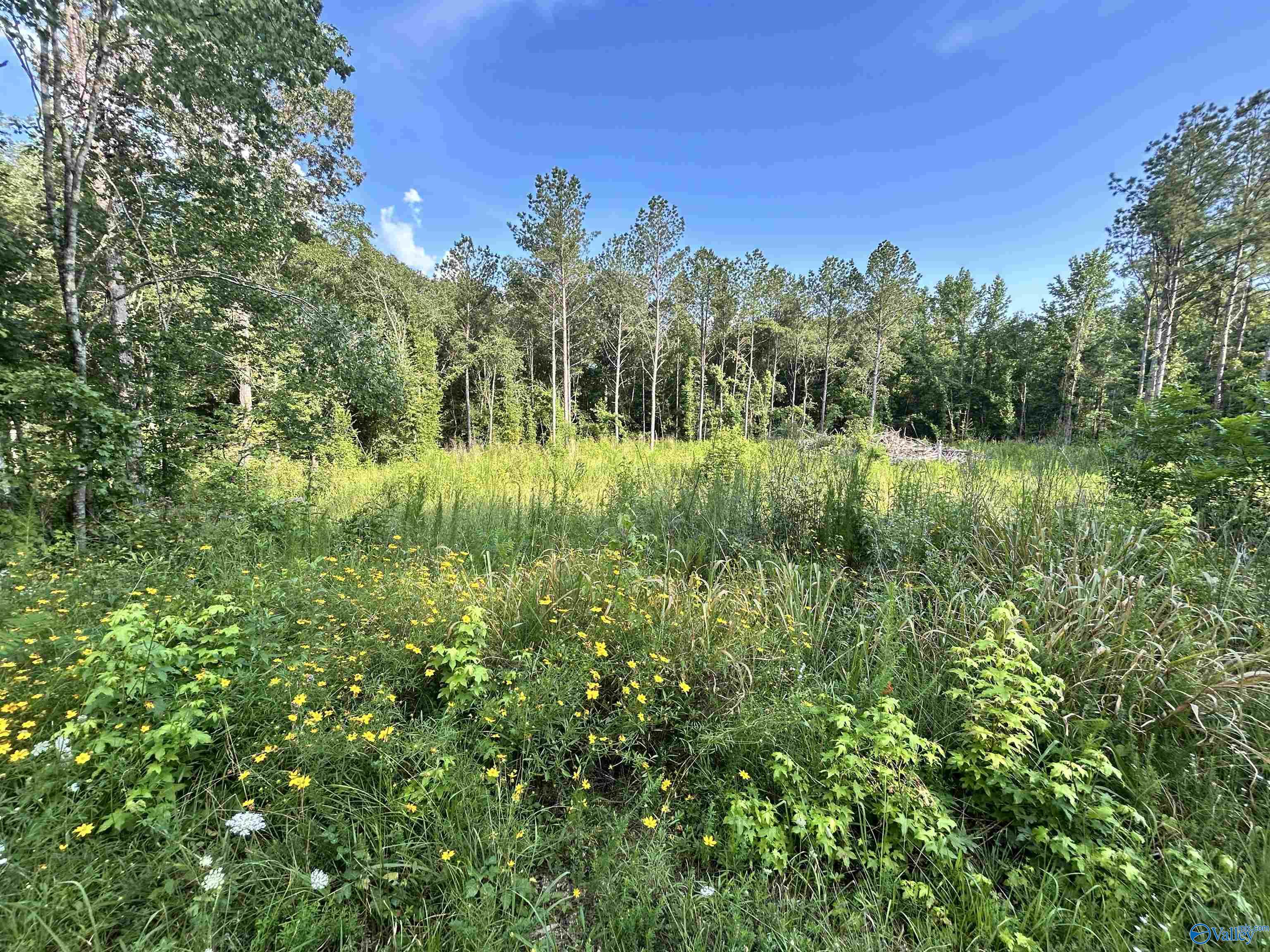 11.83 Acres County Road 82