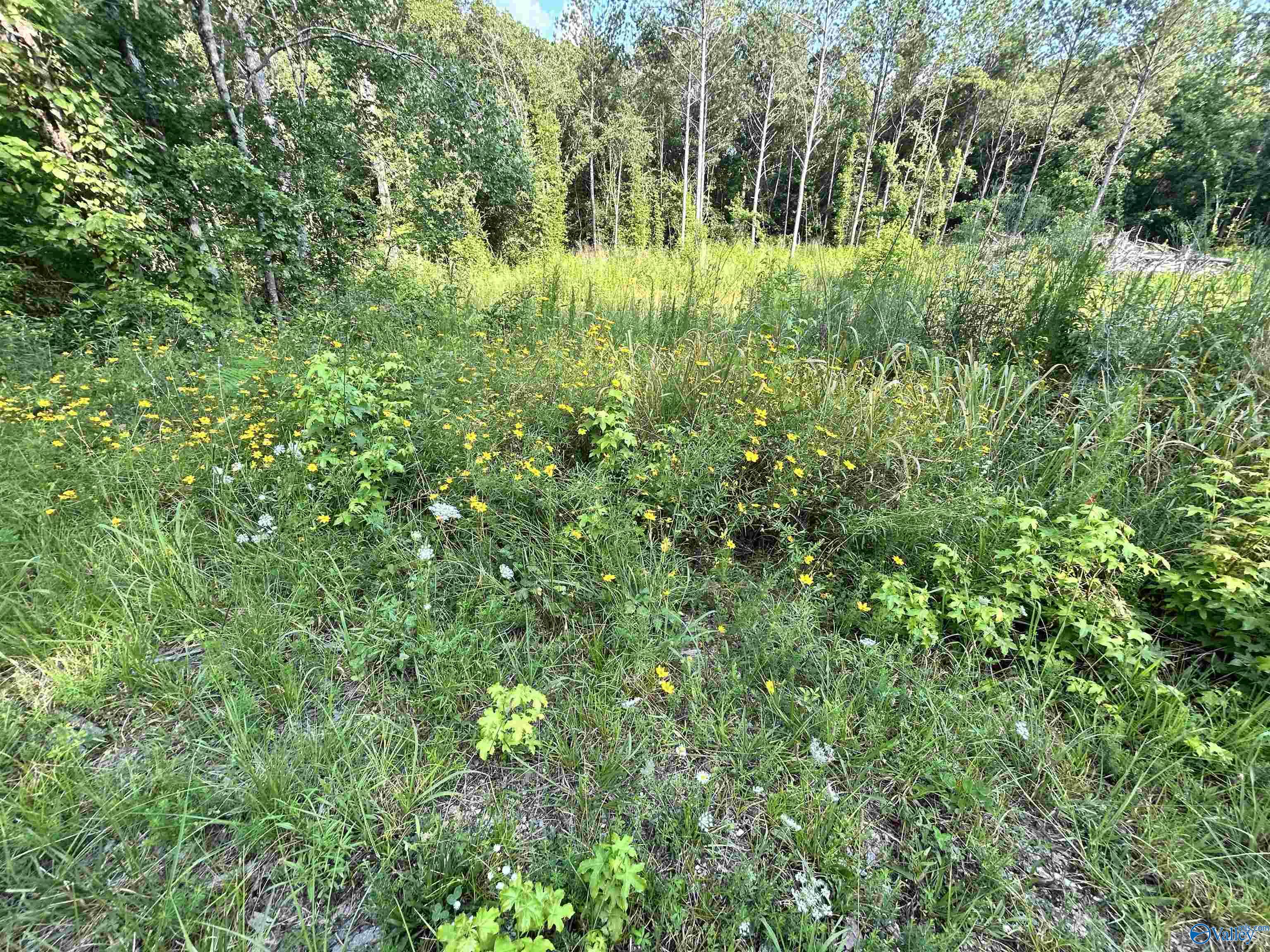 11.83 Acres County Road 82
