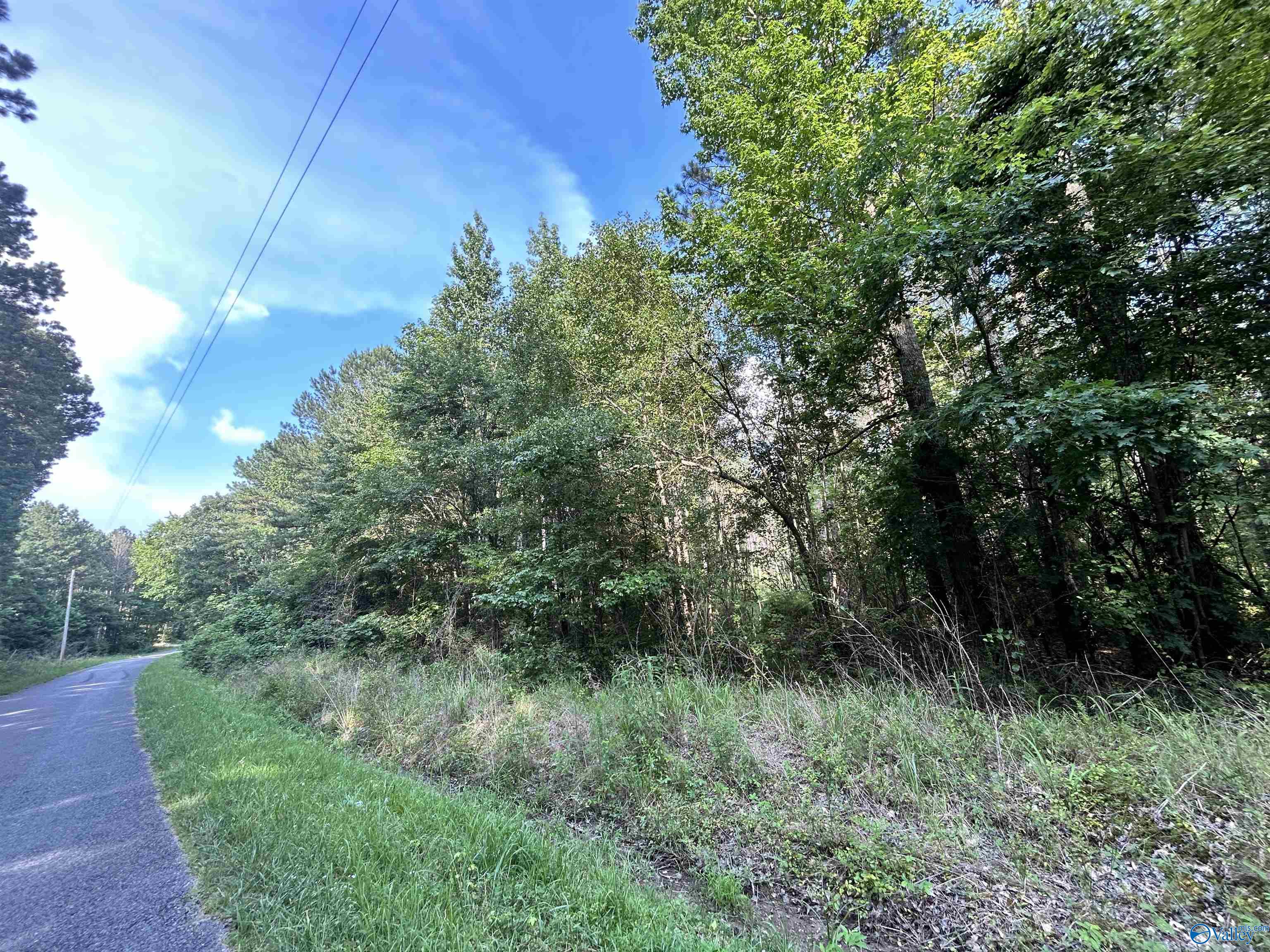 11.83 Acres County Road 82