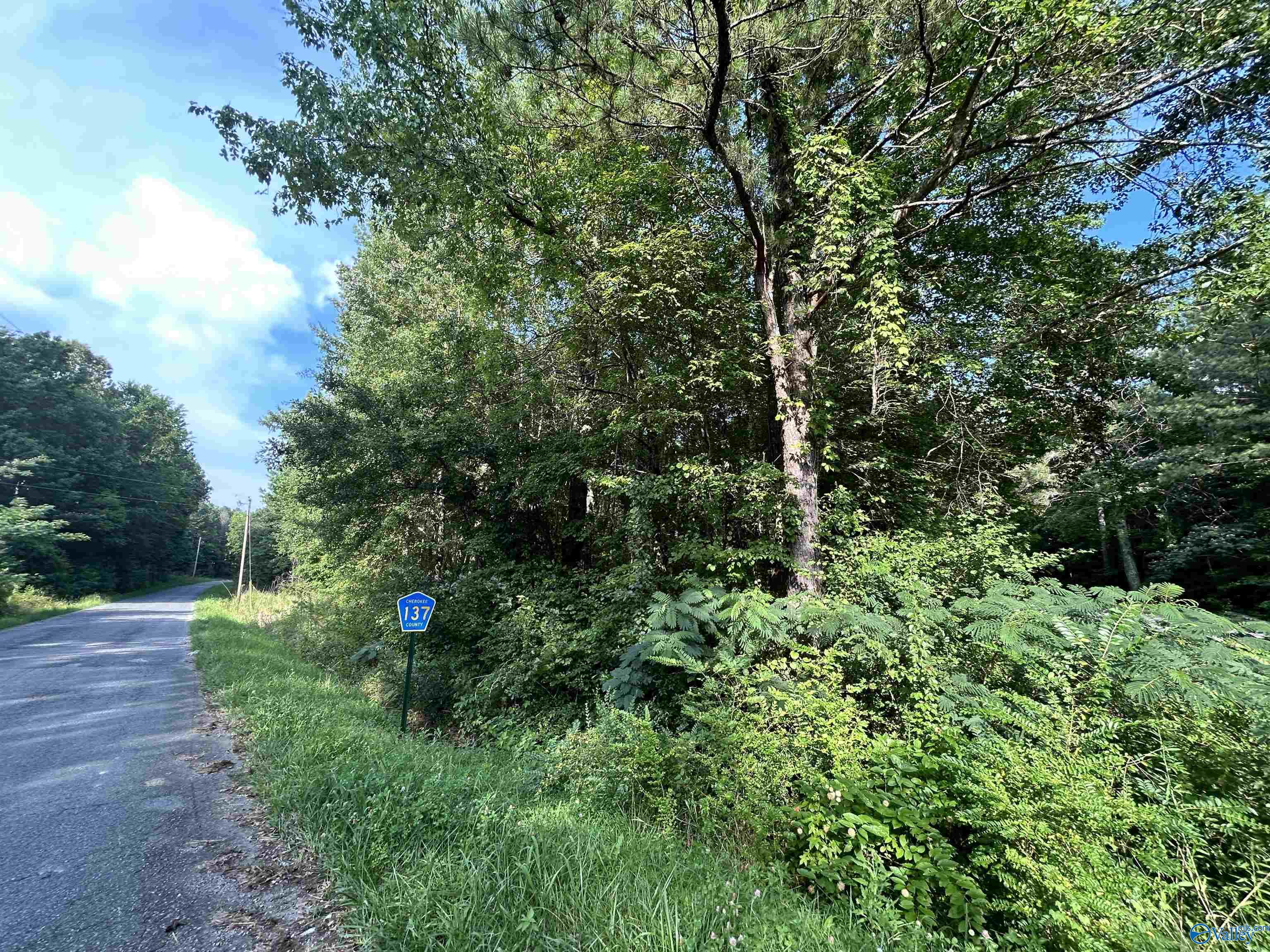 11.83 Acres County Road 82