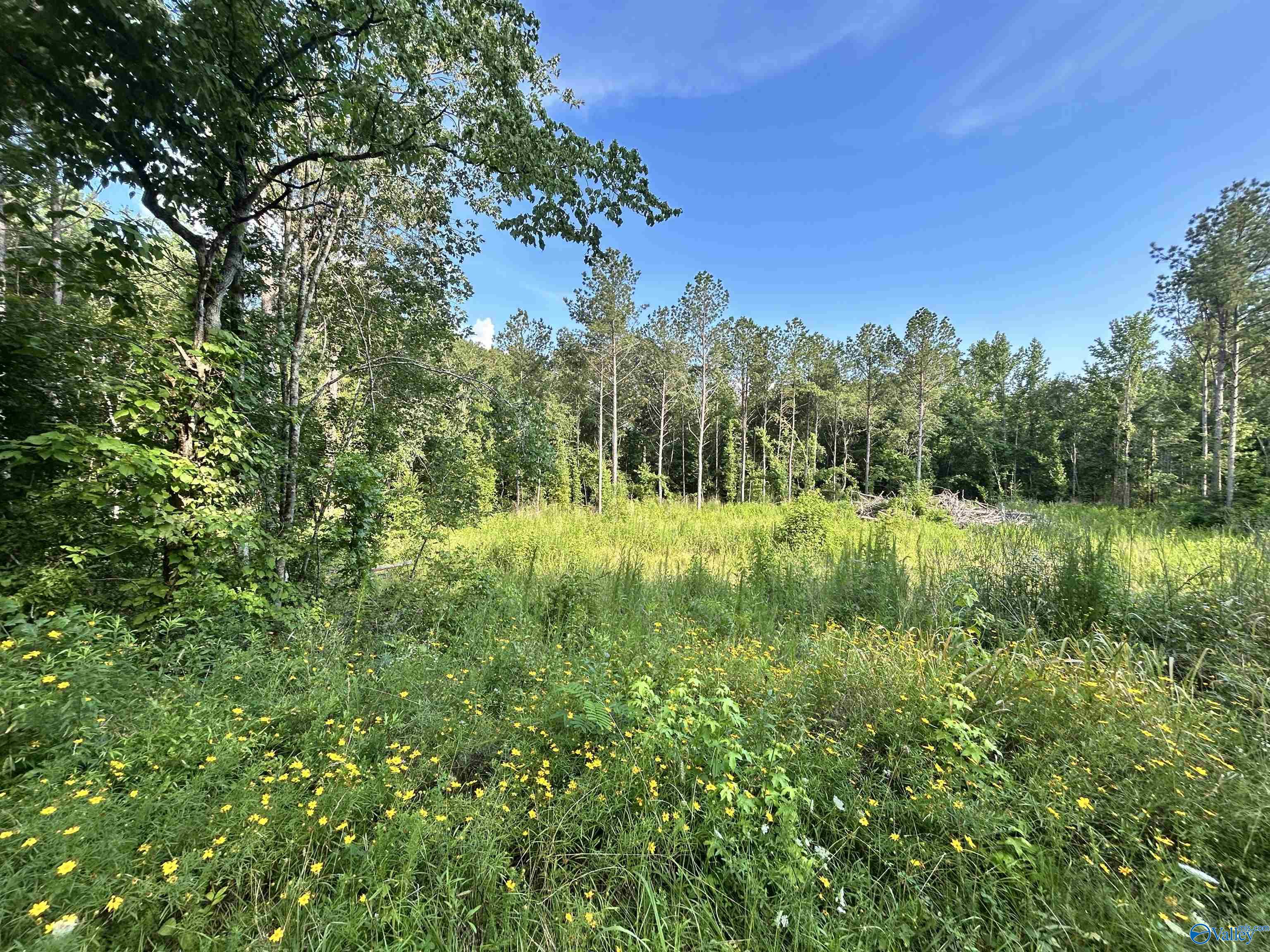 11.83 Acres County Road 82