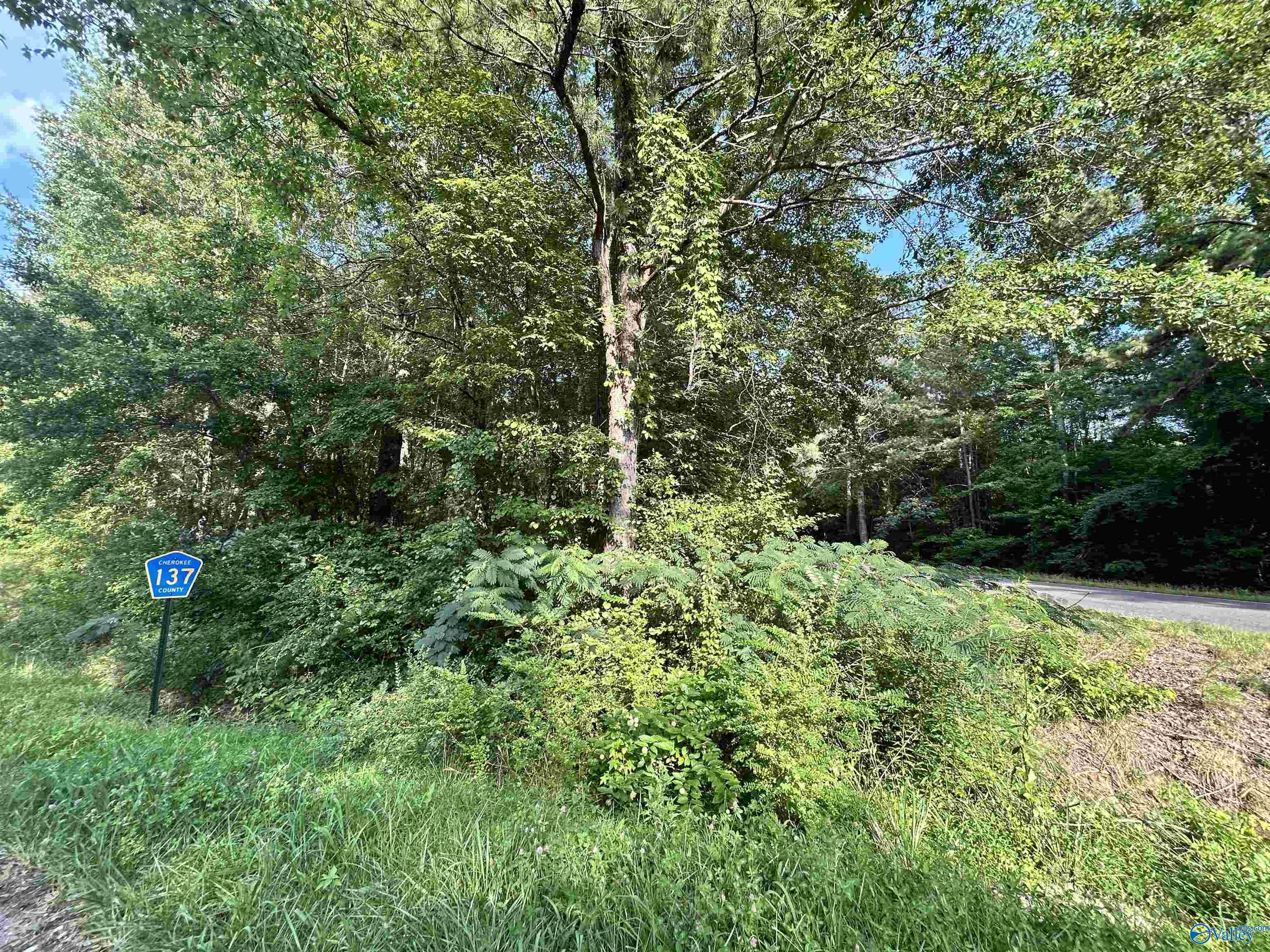 11.83 Acres County Road 82