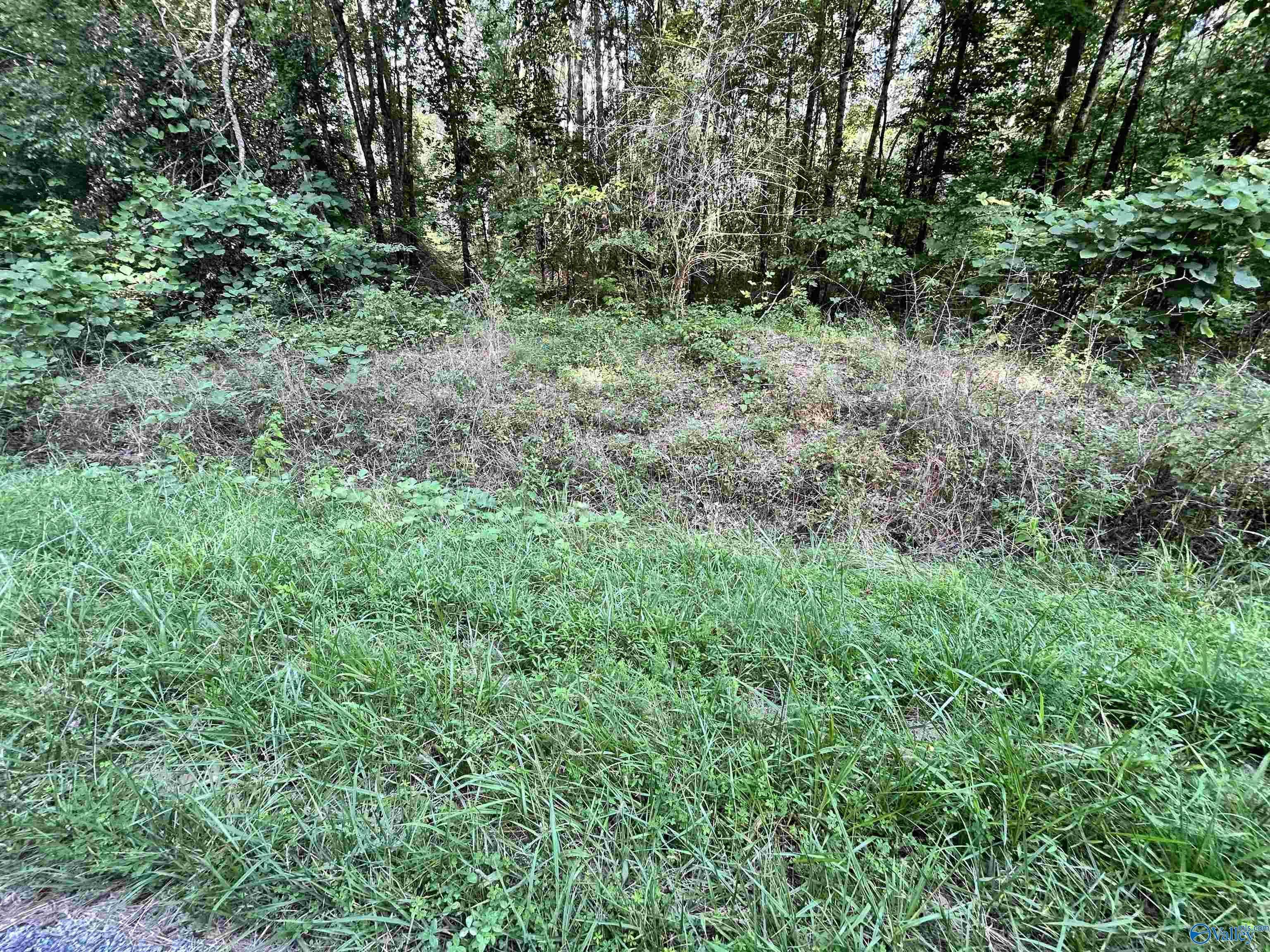 11.83 Acres County Road 82