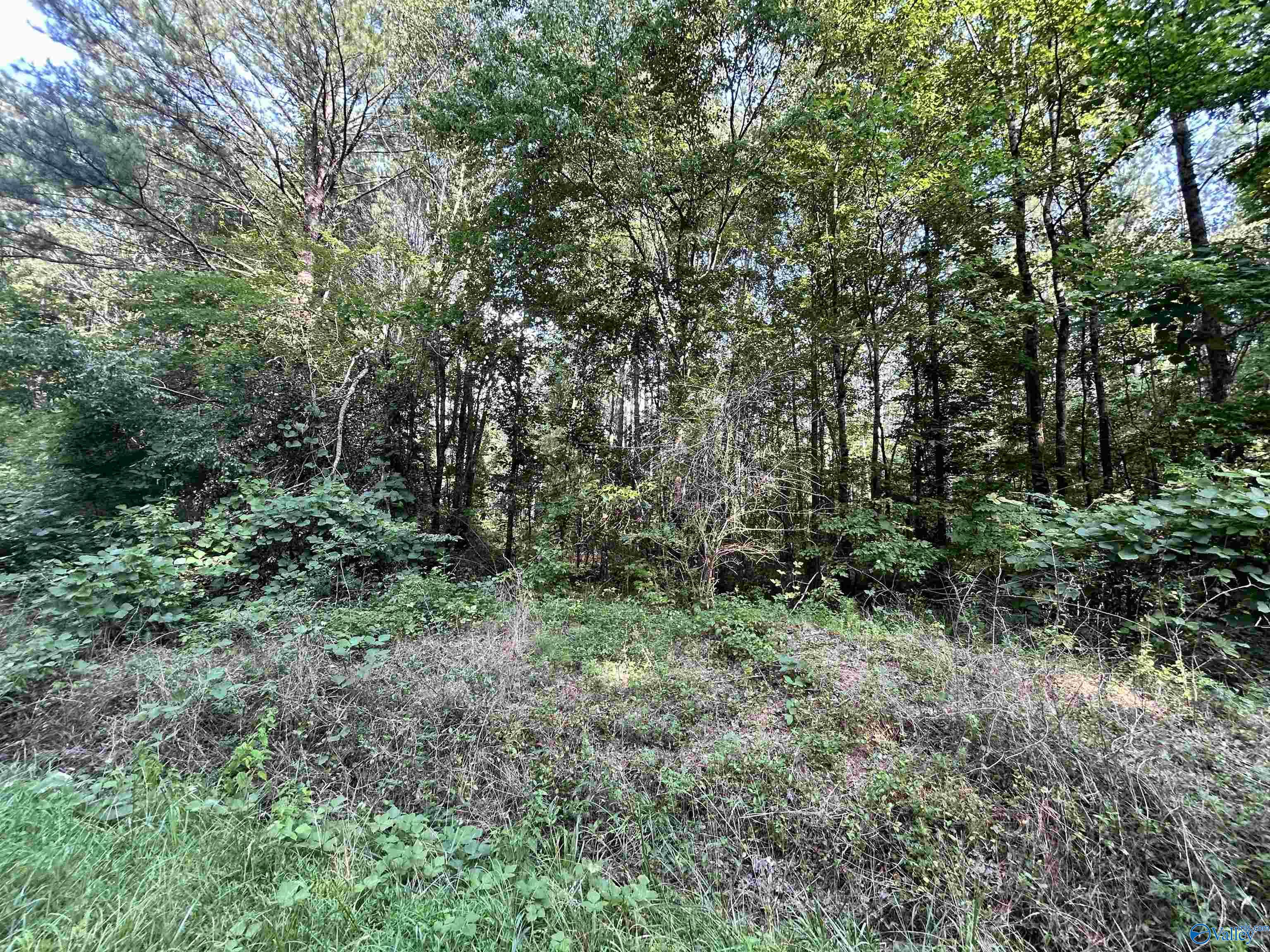 11.83 Acres County Road 82