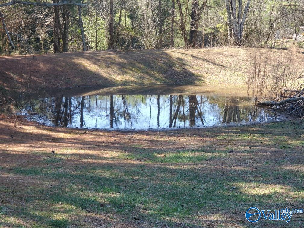 174 Pea Ridge Road