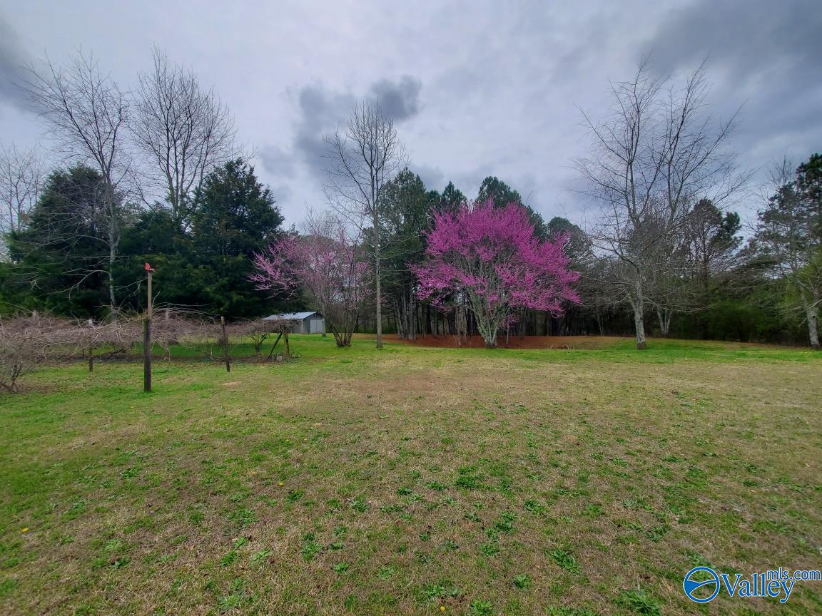 174 Pea Ridge Road
