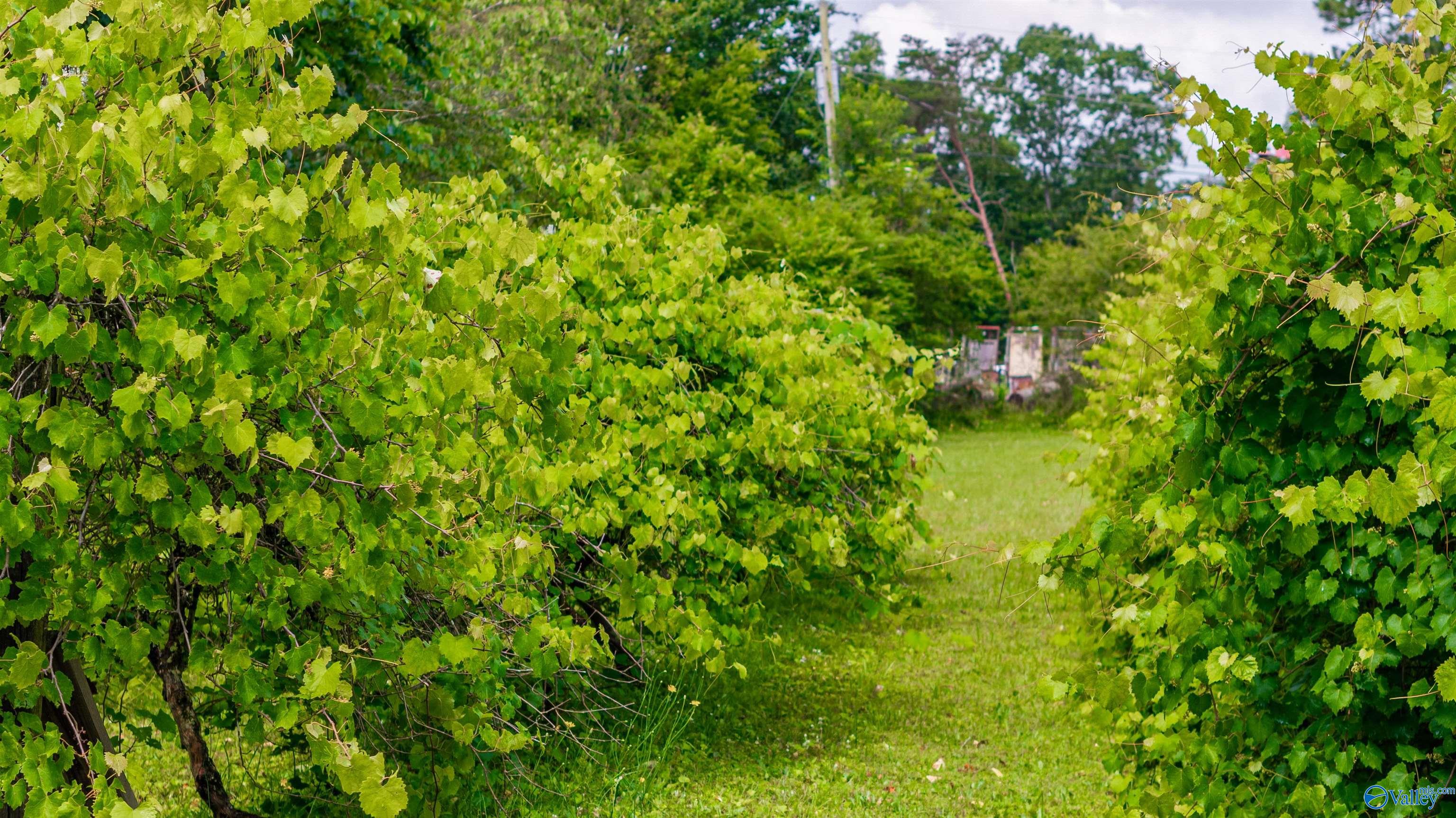 174 Pea Ridge Road