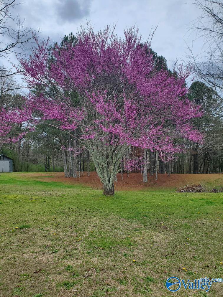 174 Pea Ridge Road