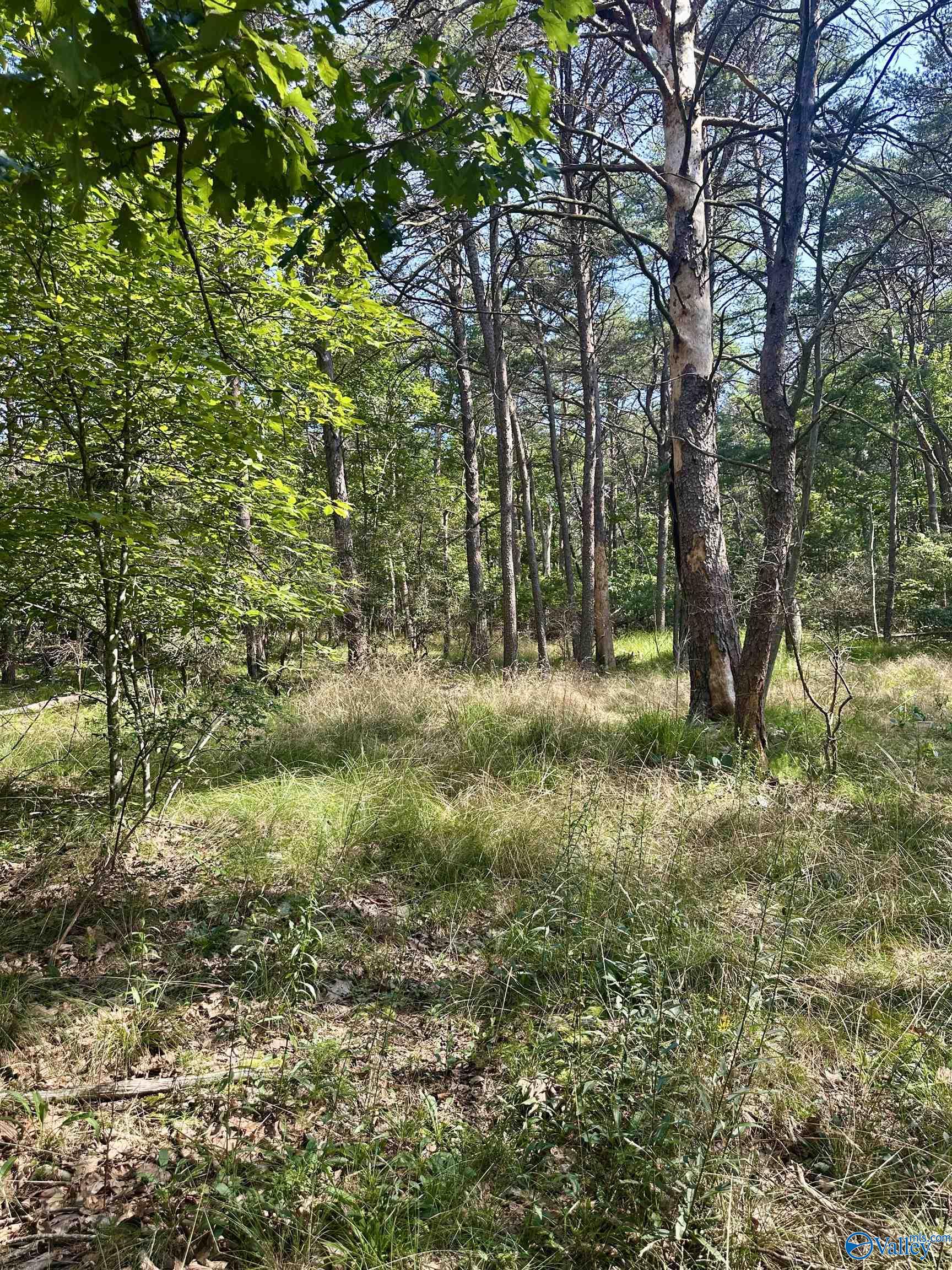 16 +/- acres Road 934