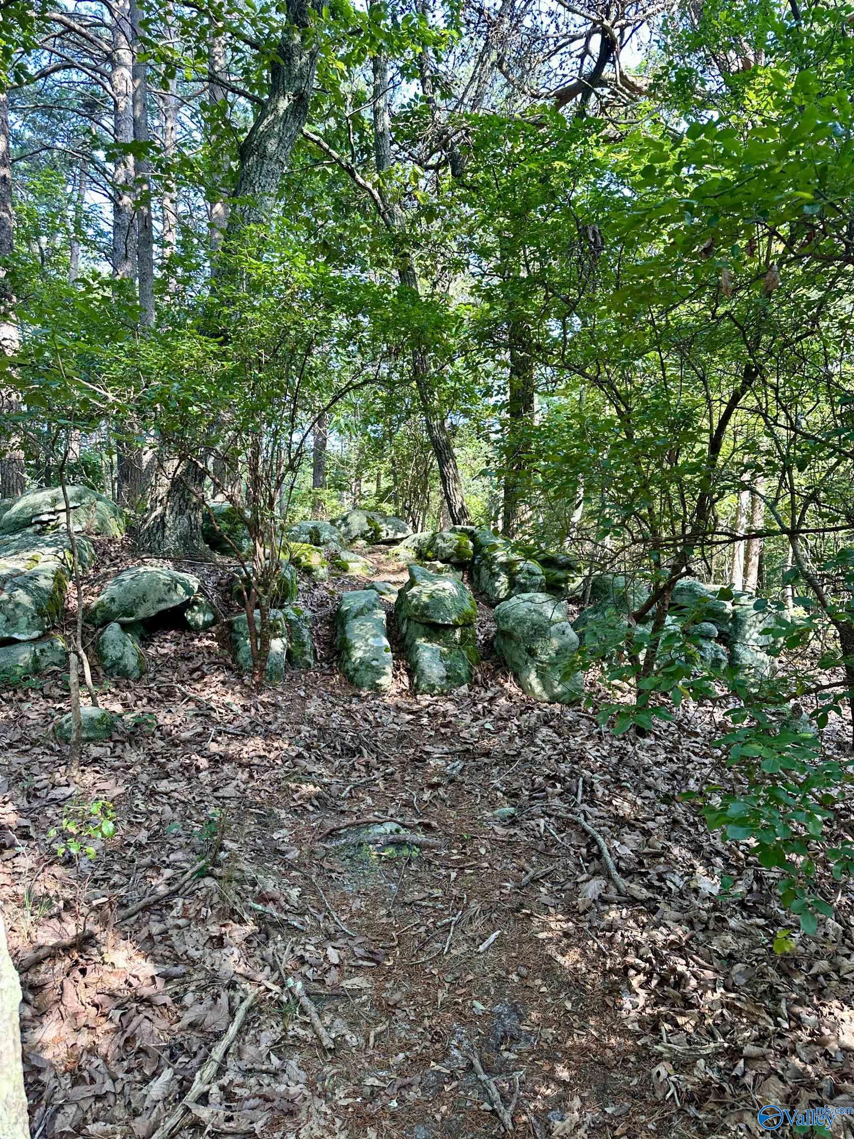 16 +/- acres Road 934
