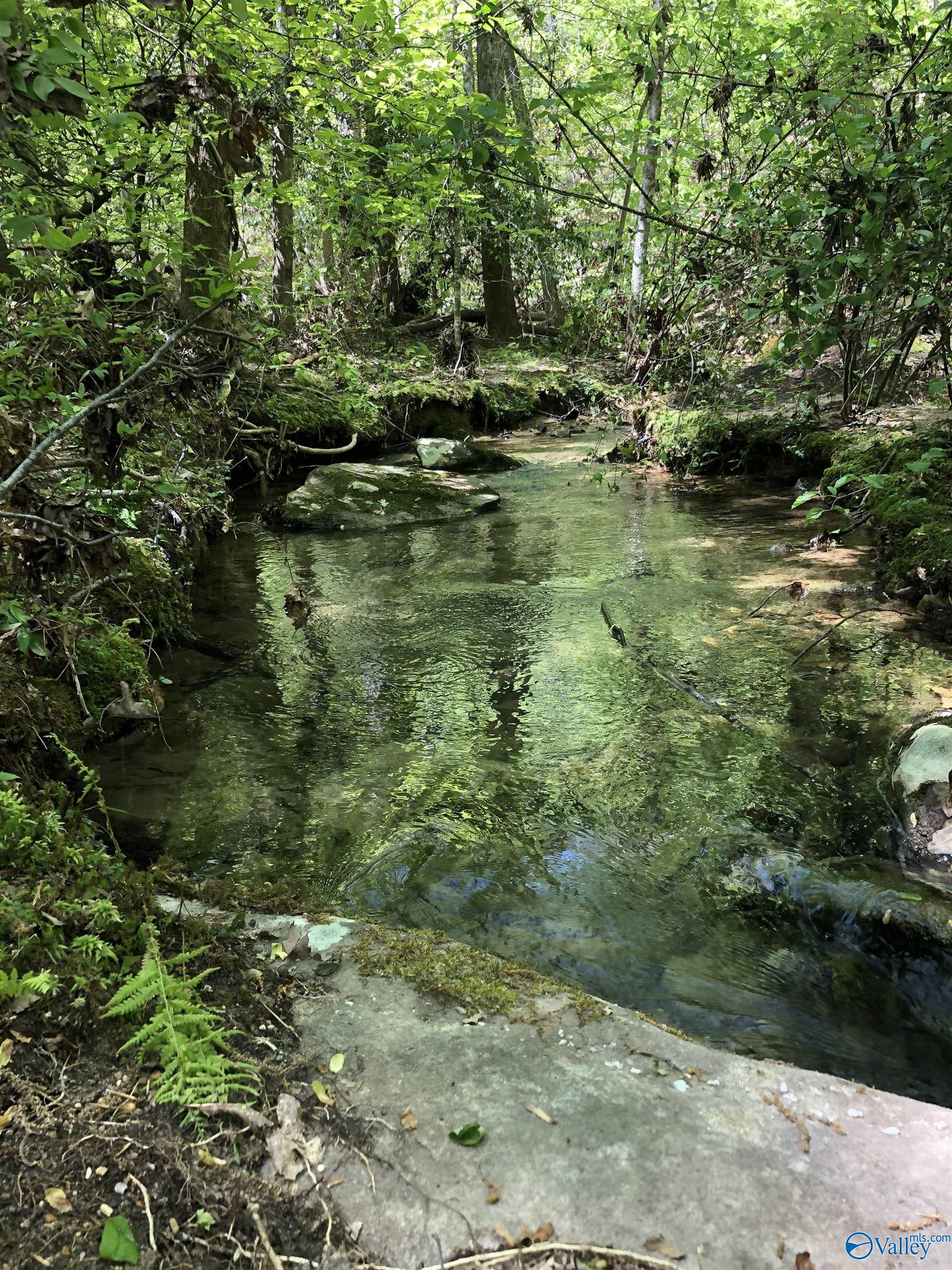 16 +/- acres Road 934