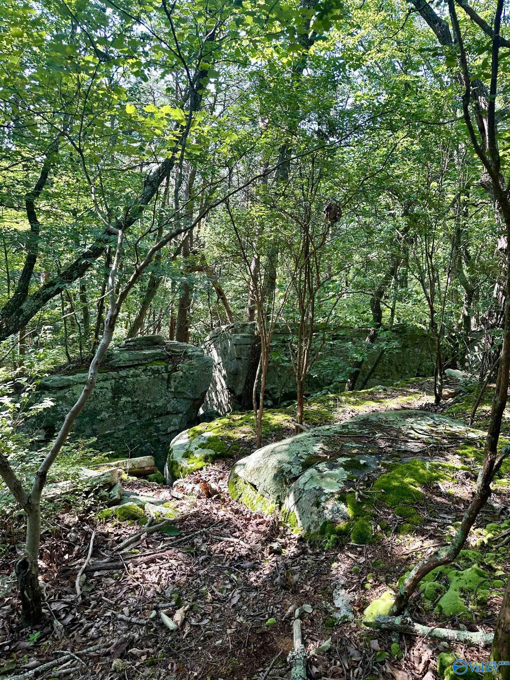 16 +/- acres Road 934