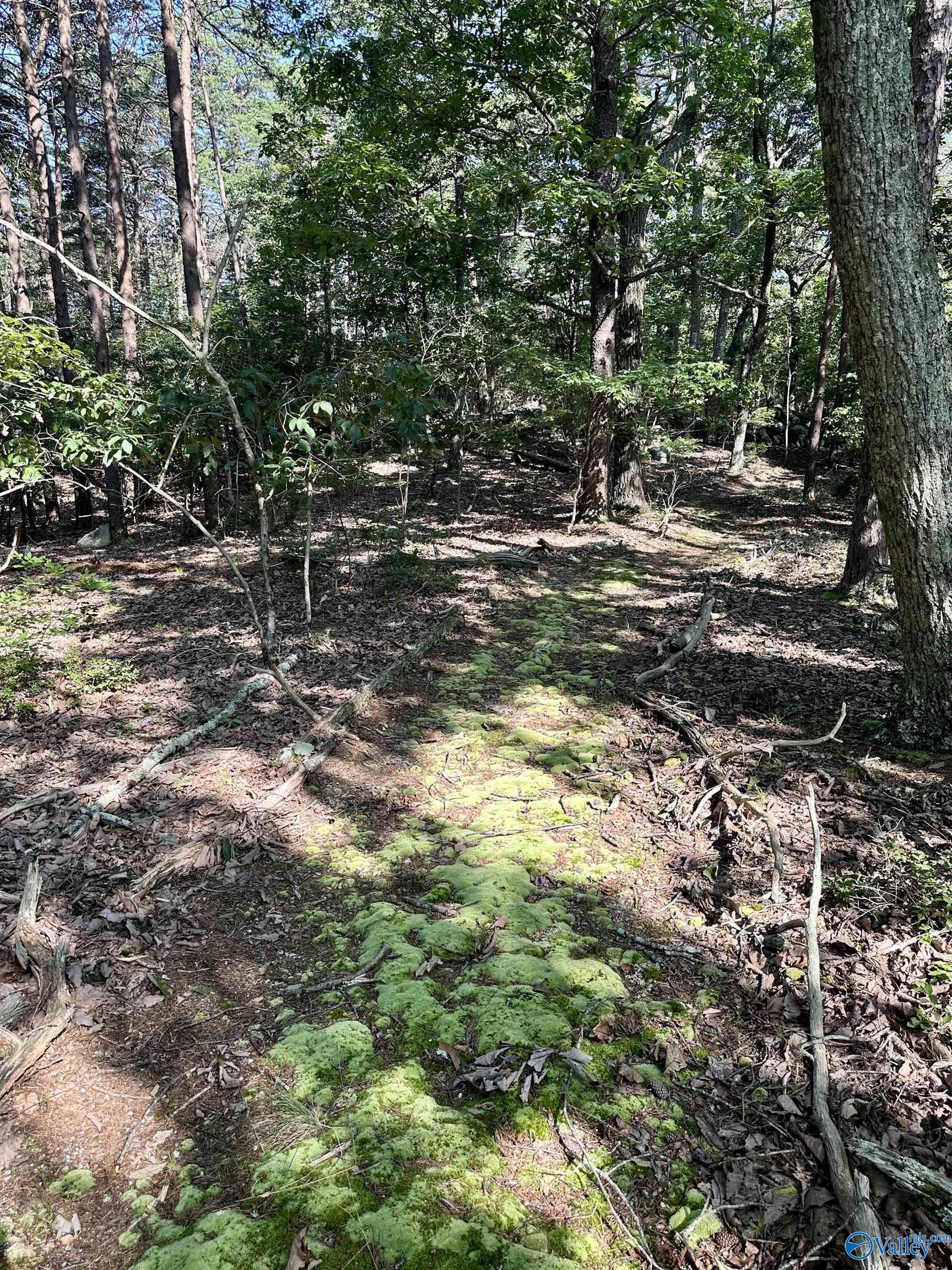 16 +/- acres Road 934