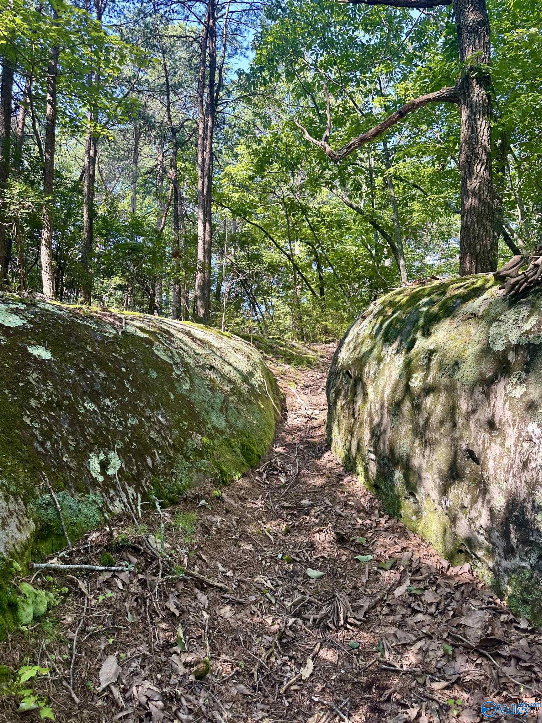 16 +/- acres Road 934
