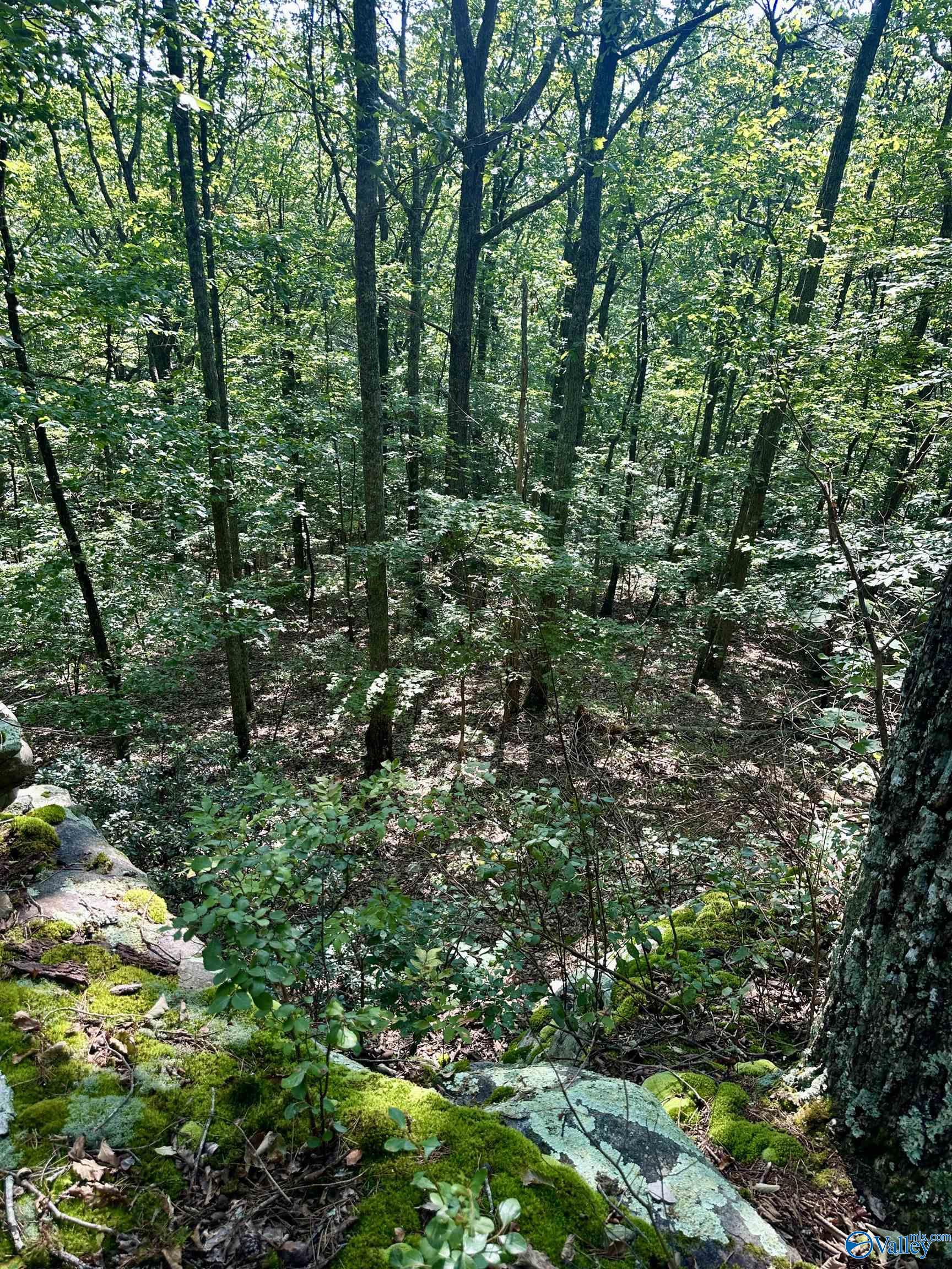 16 +/- acres Road 934