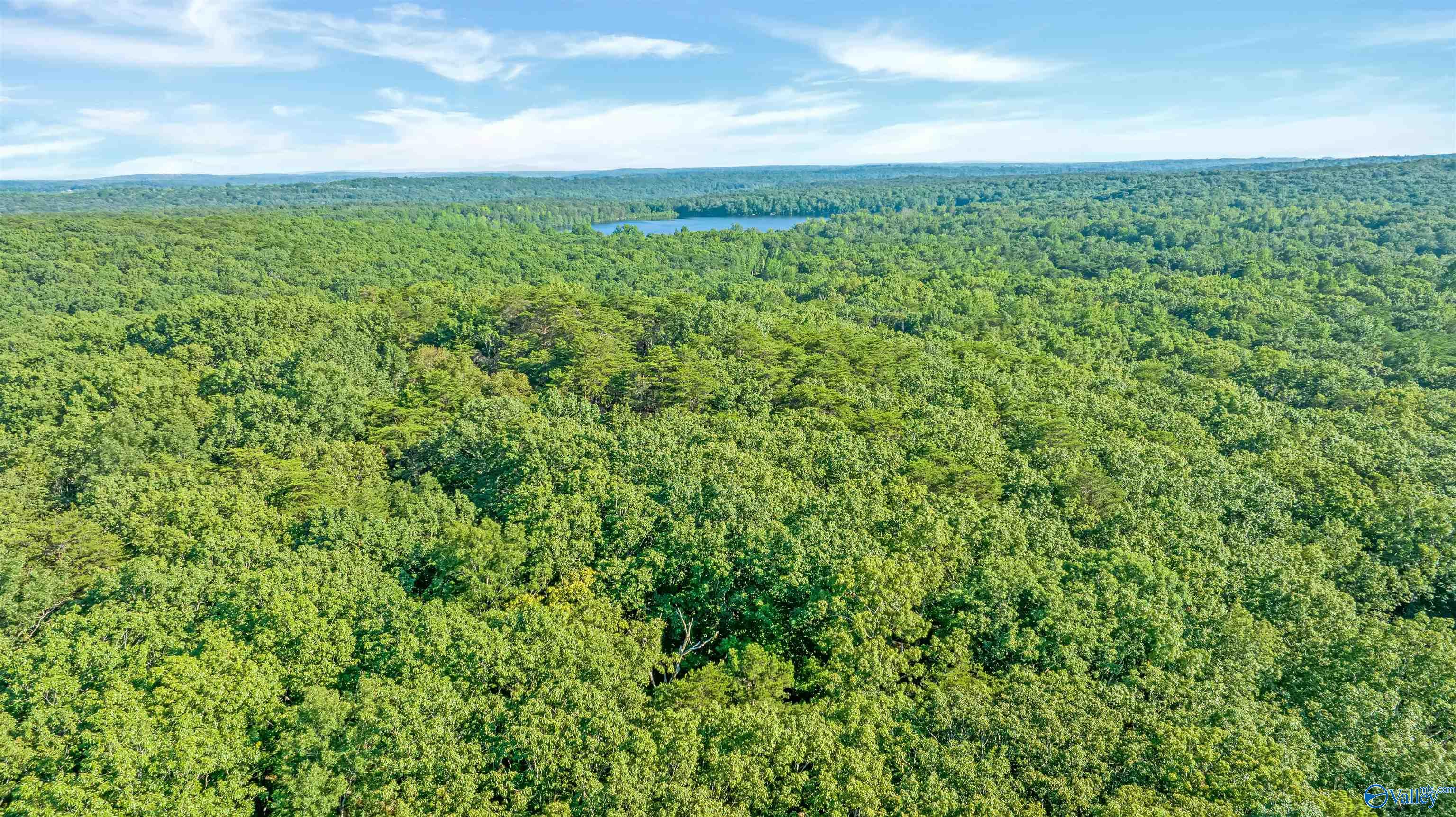 16 +/- acres Road 934