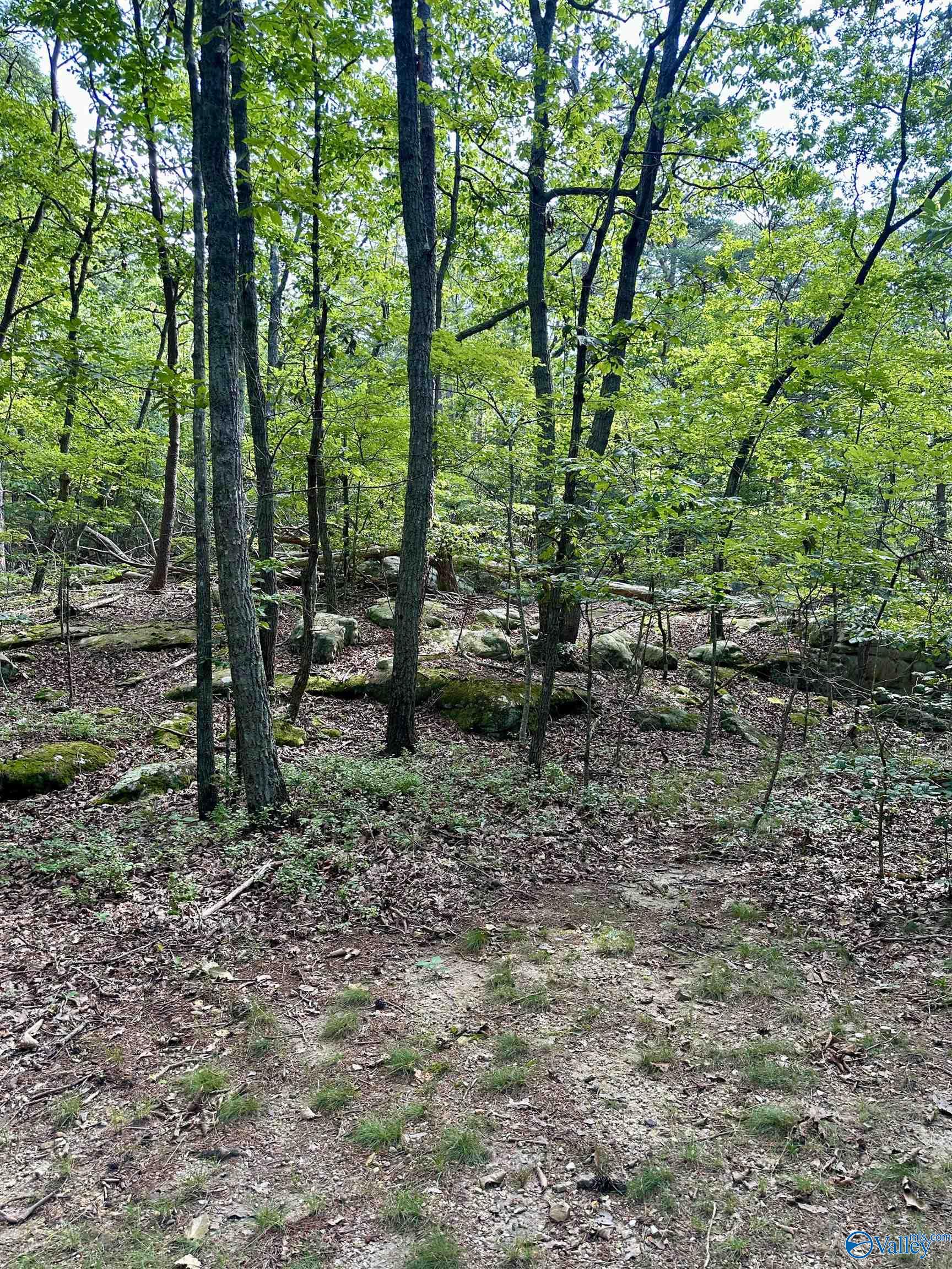 16 +/- acres Road 934