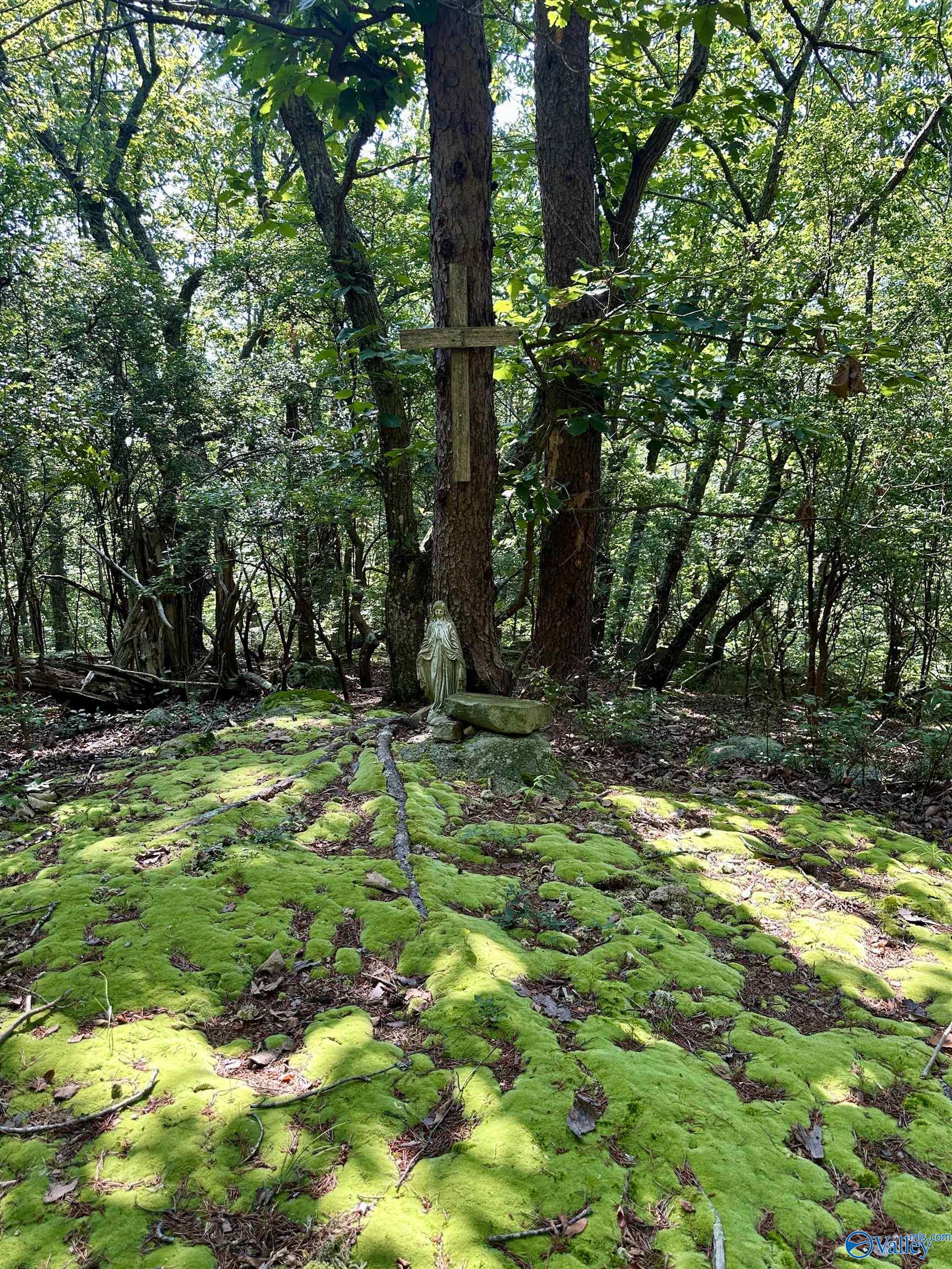 16 +/- acres Road 934
