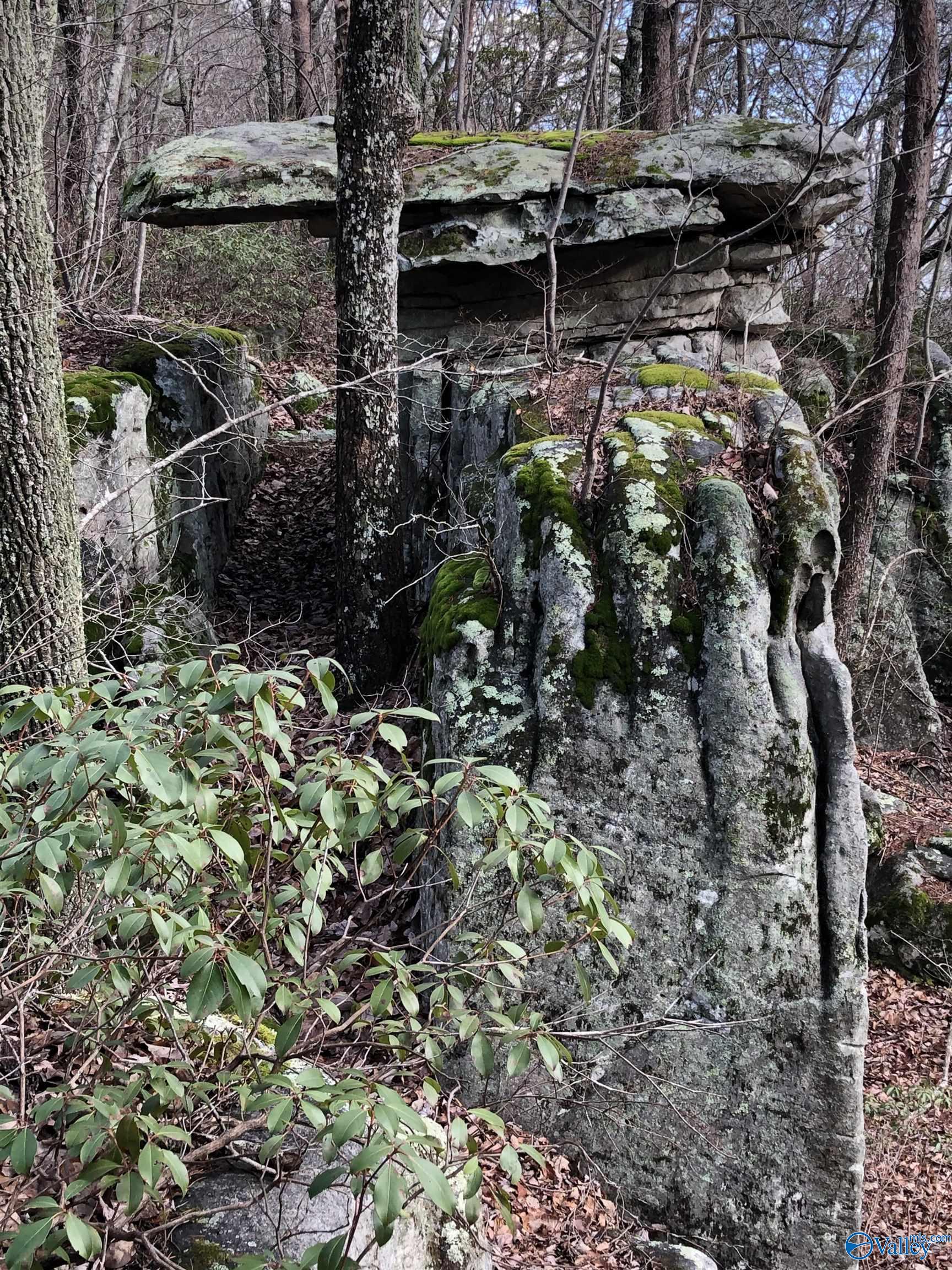 16 +/- acres Road 934