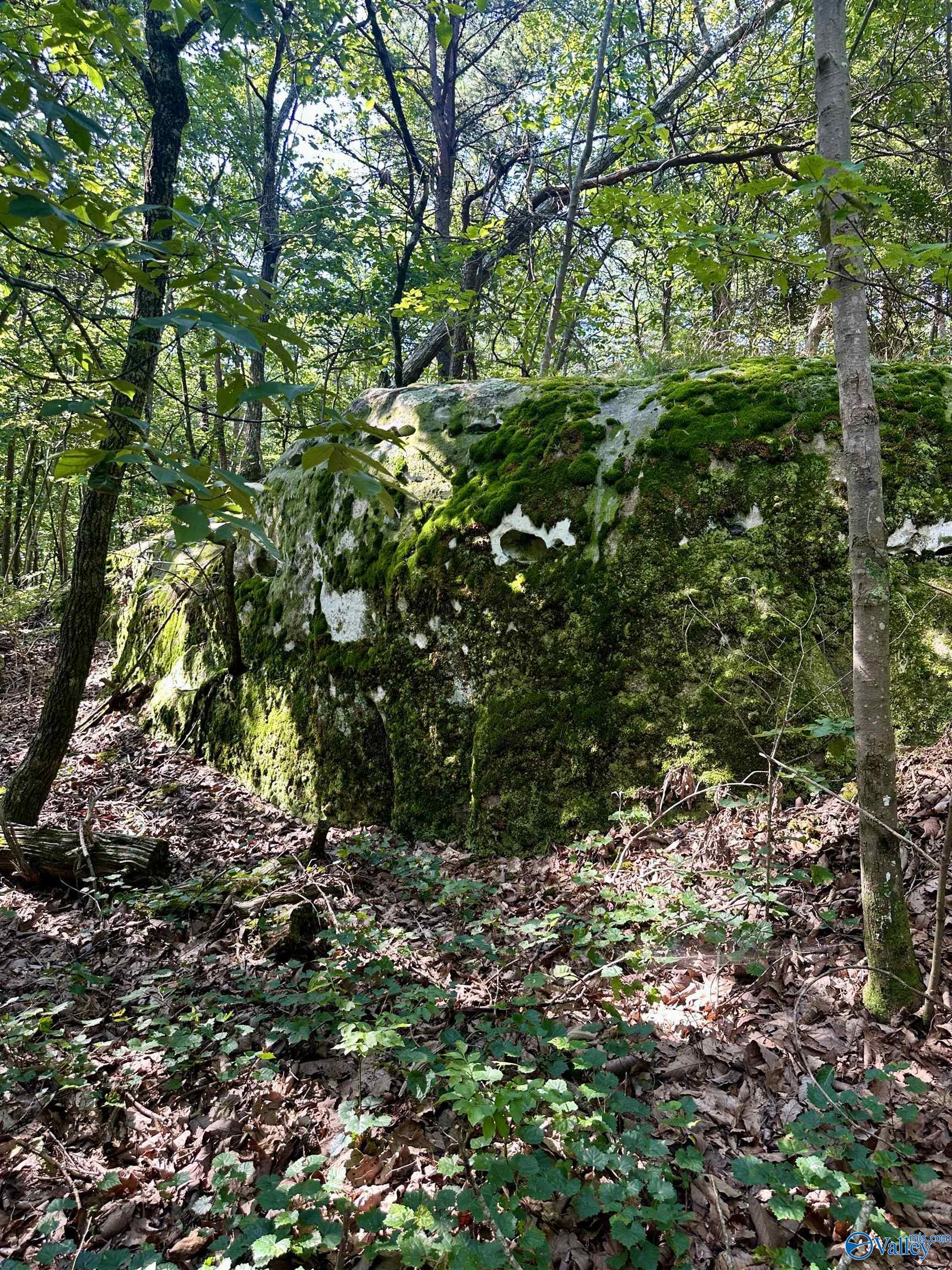 16 +/- acres Road 934