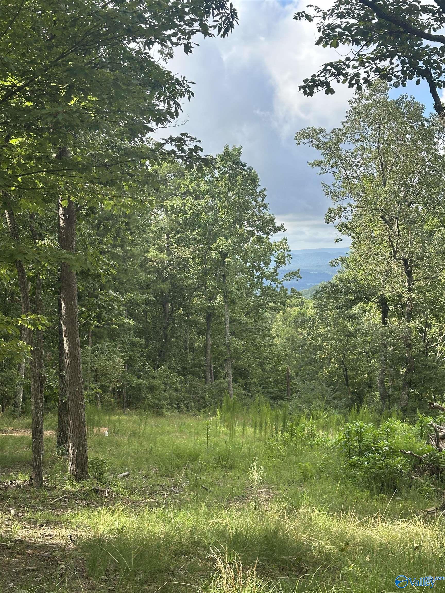 195 County Road 844