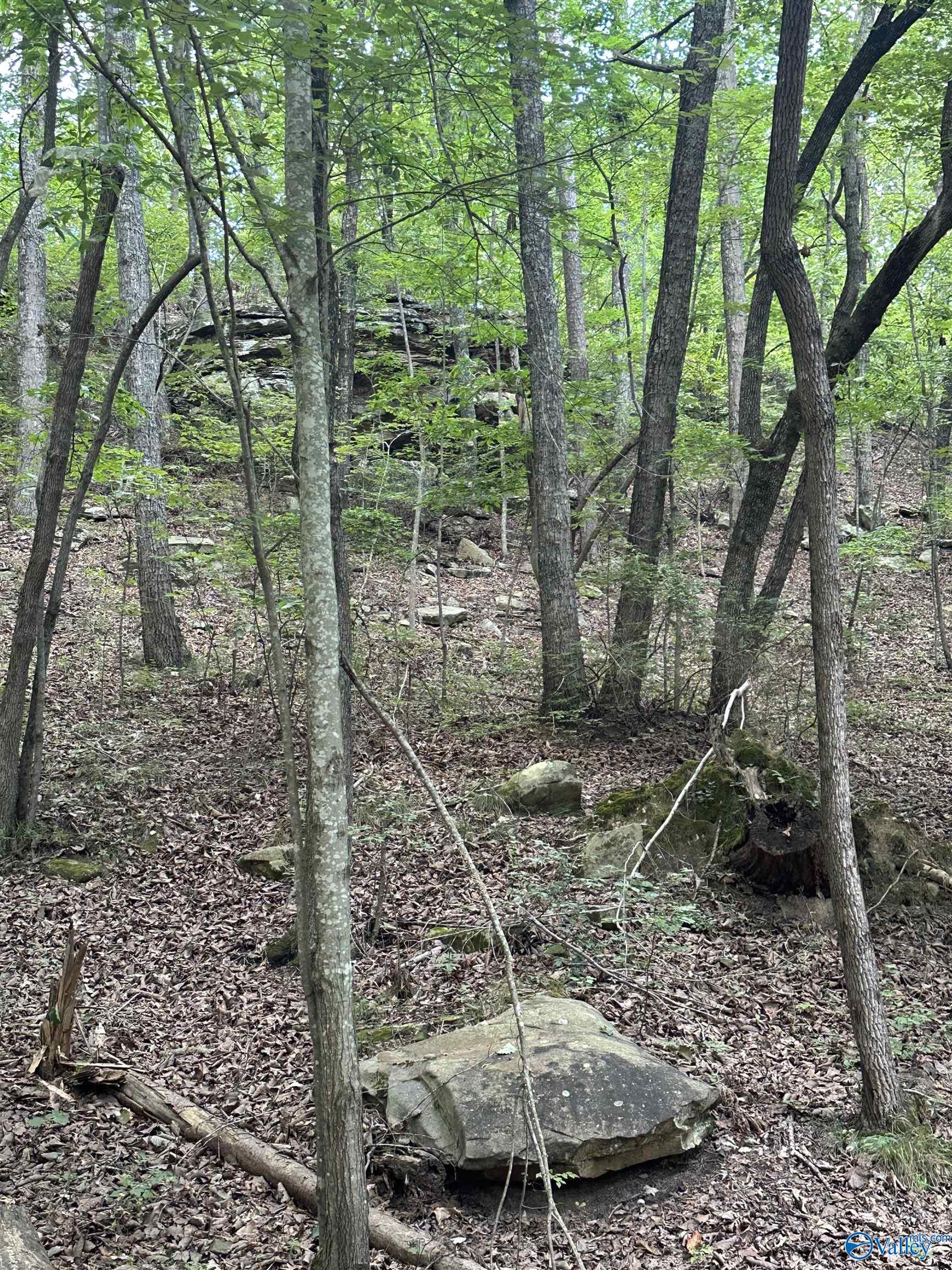 195 County Road 844