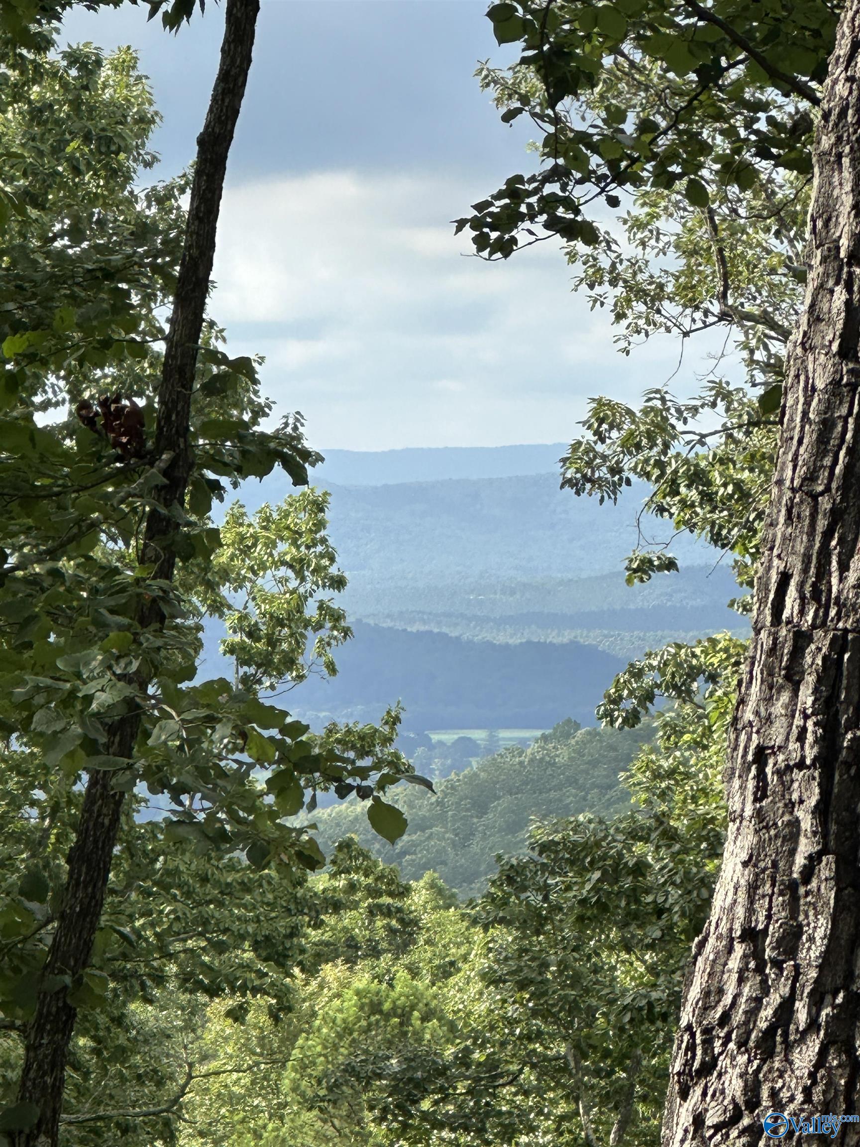 195 County Road 844