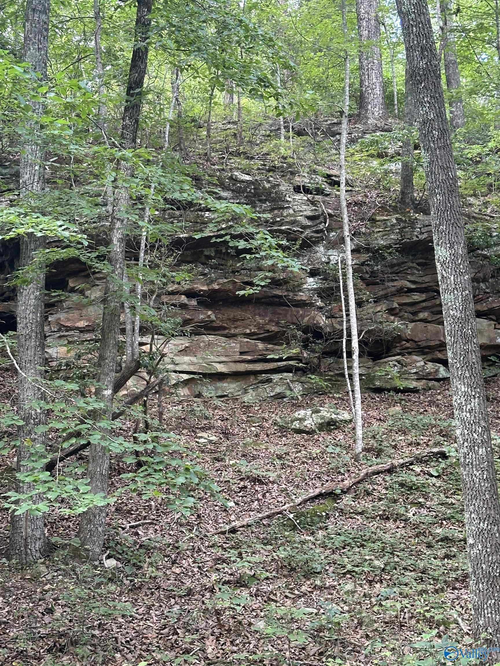 195 County Road 844