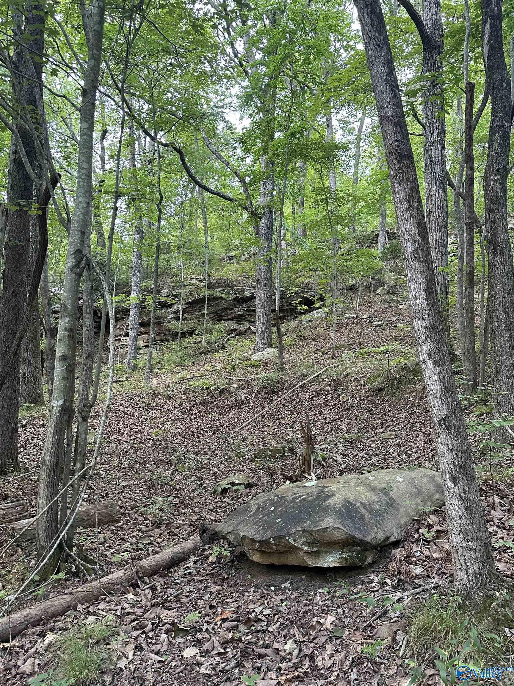 195 County Road 844