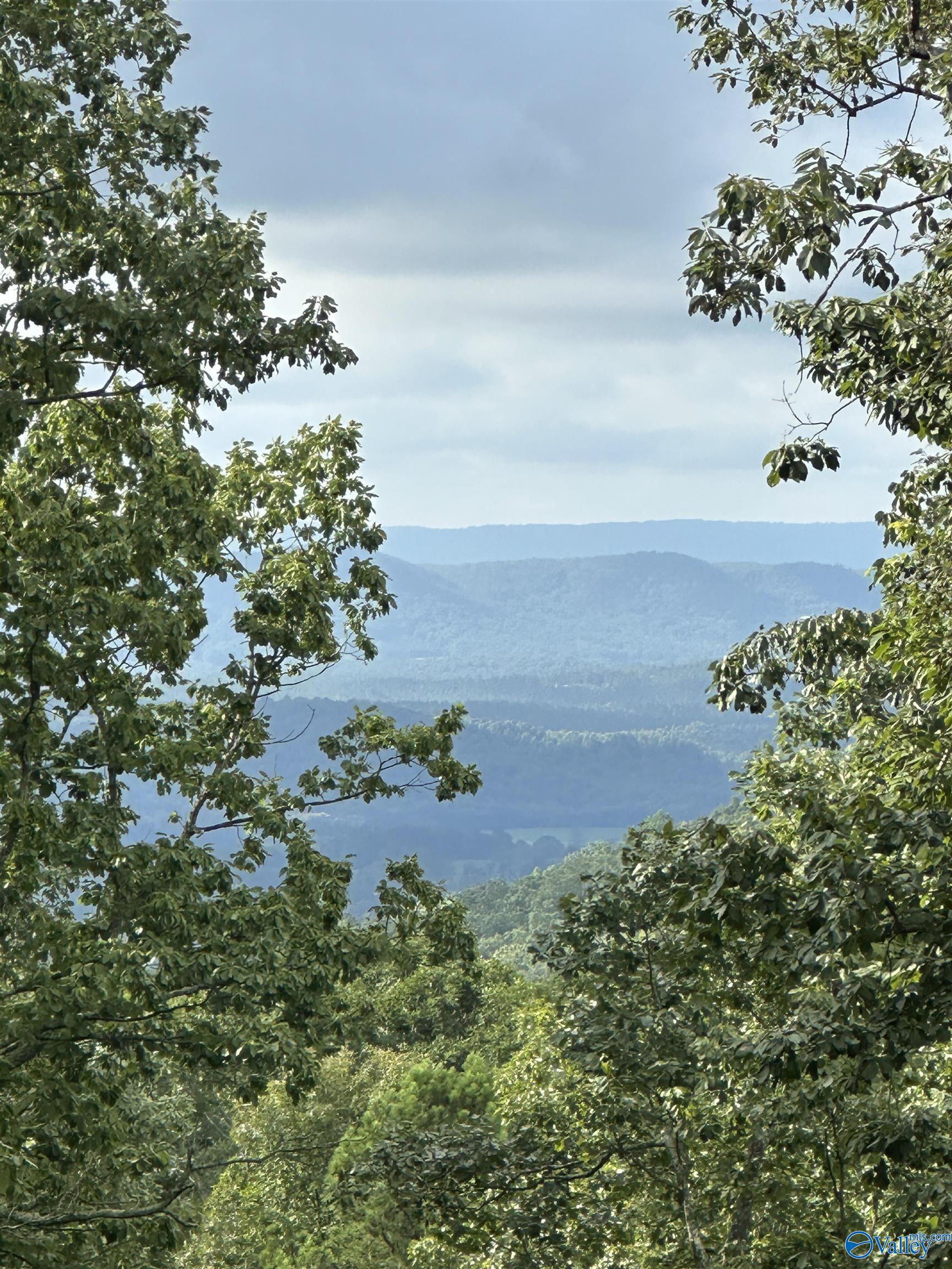 195 County Road 844