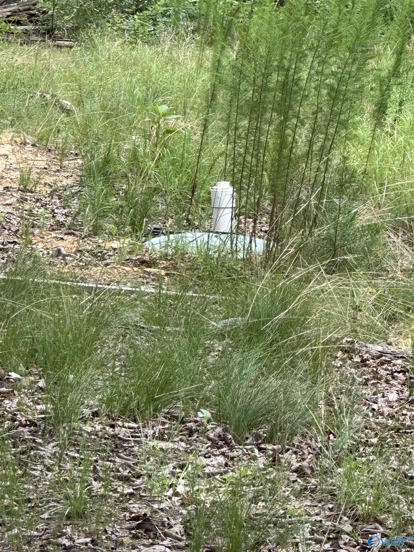 195 County Road 844