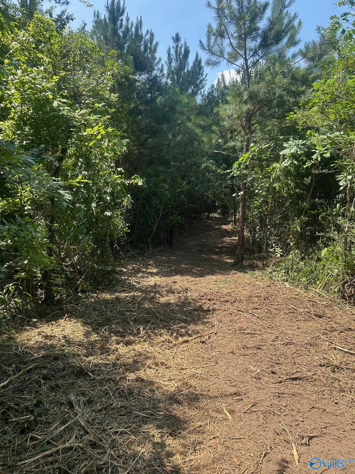 14 Acres Wills Creek Road