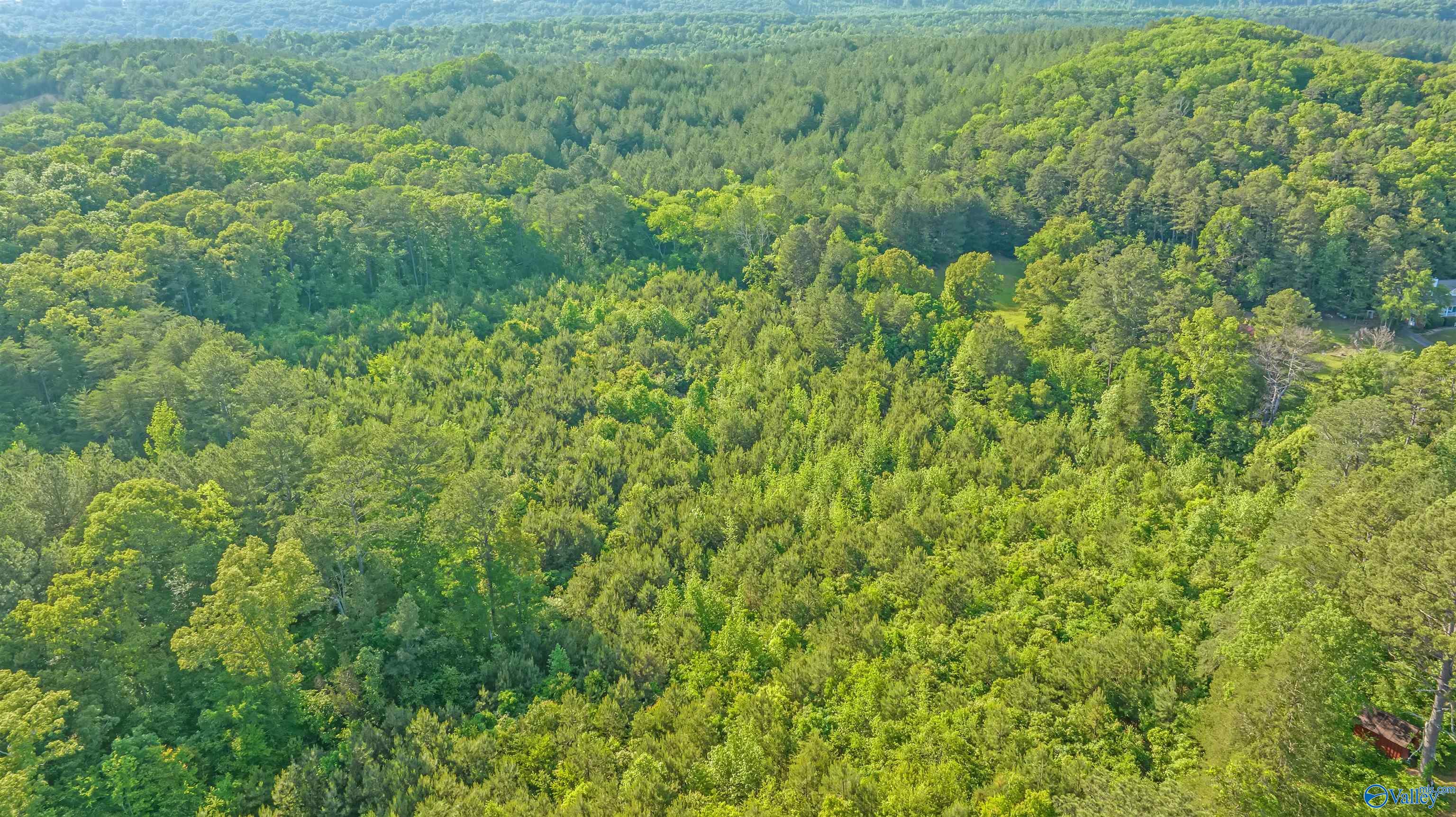 14 Acres Wills Creek Road